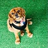 Leiah "Princess" McGrath