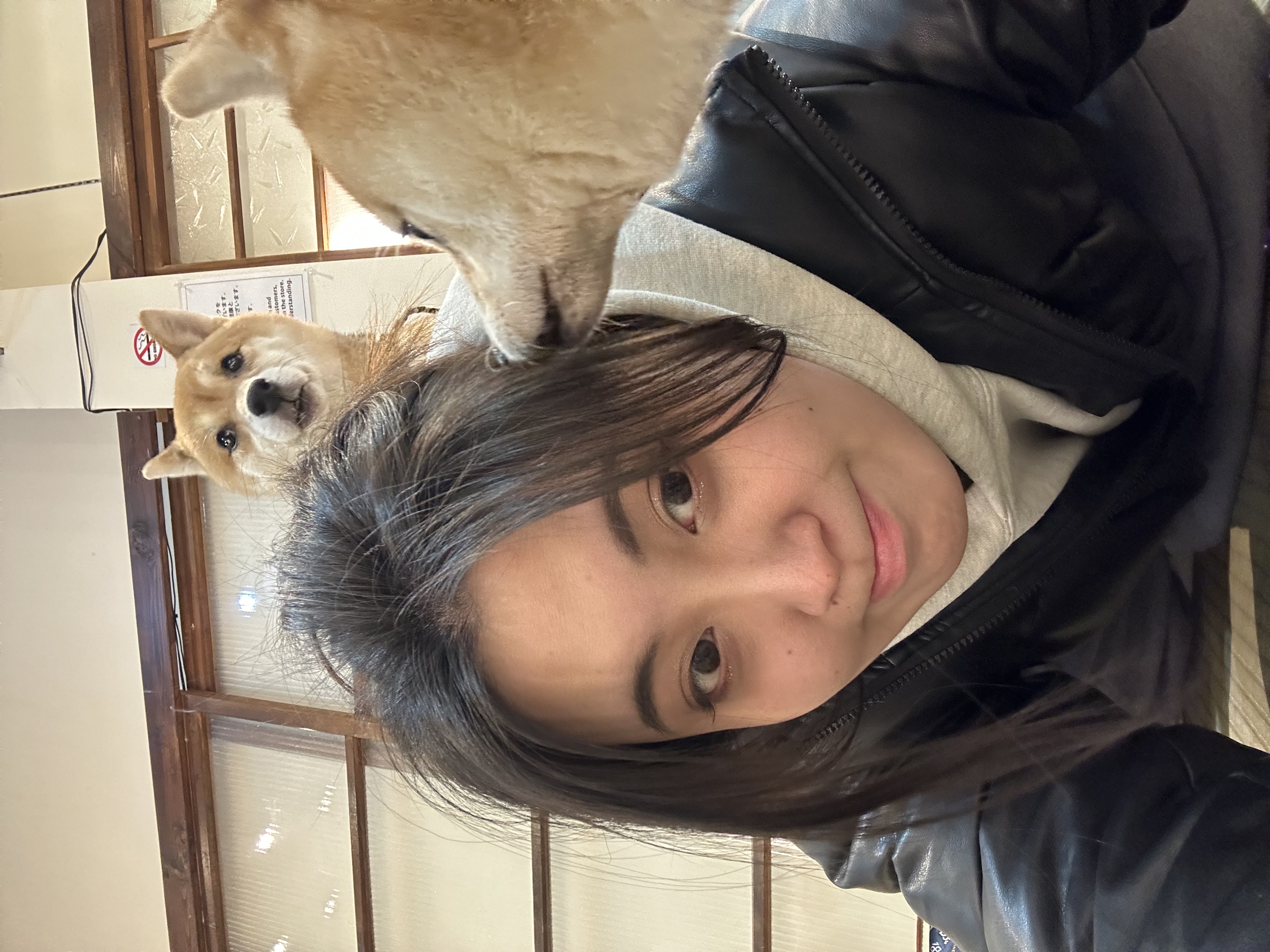 image-4