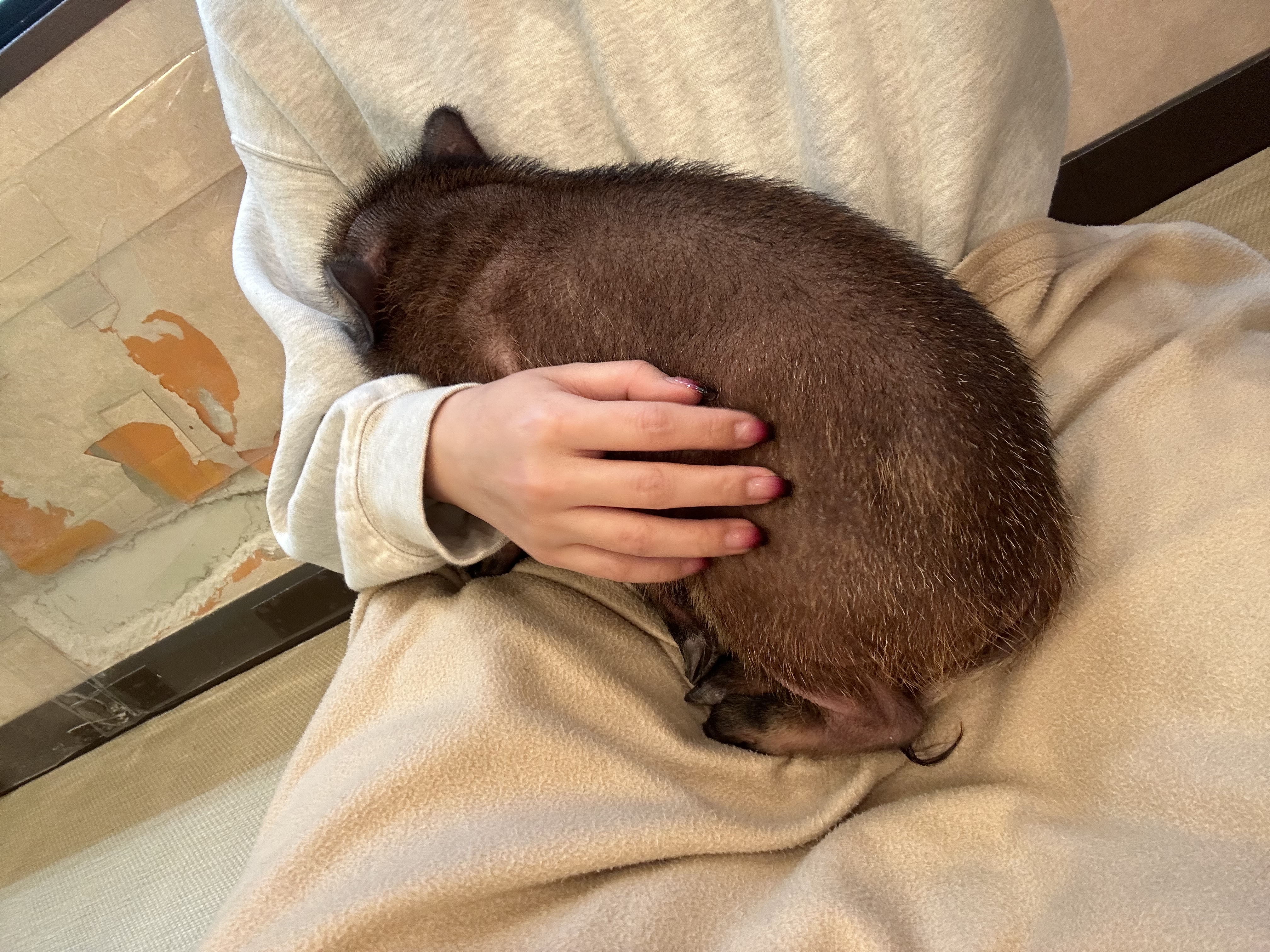 image-7