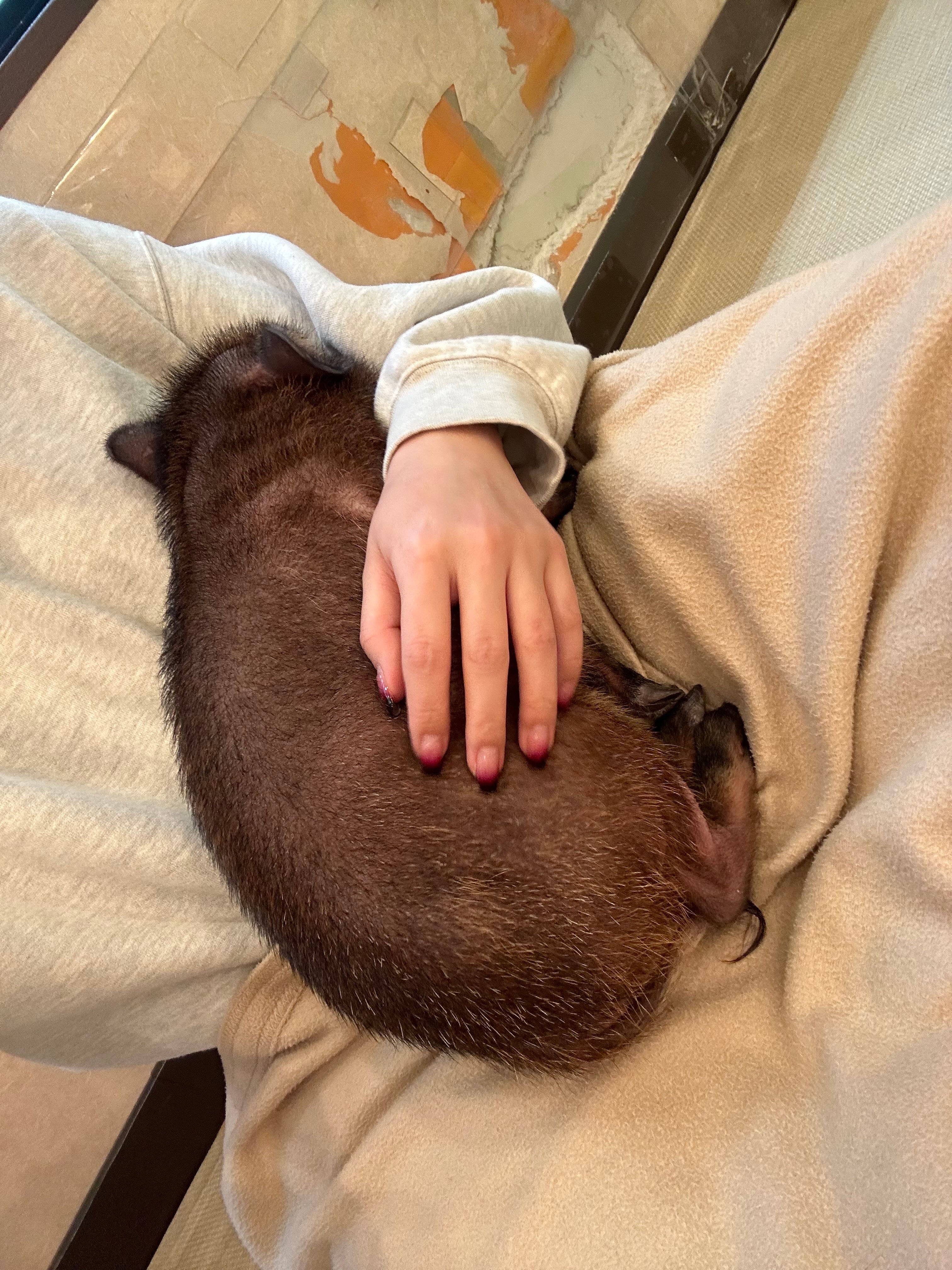 image-7