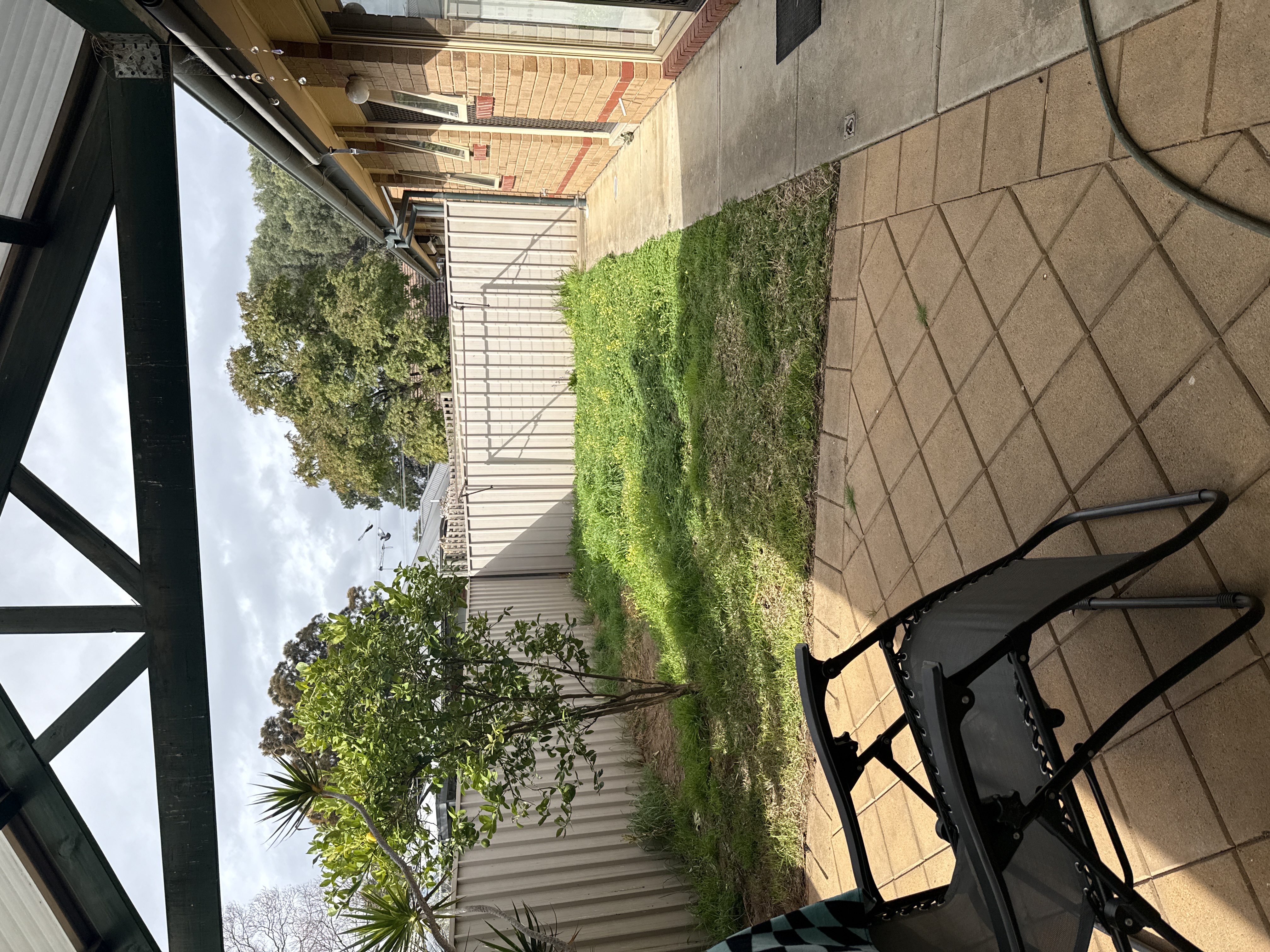 image-14