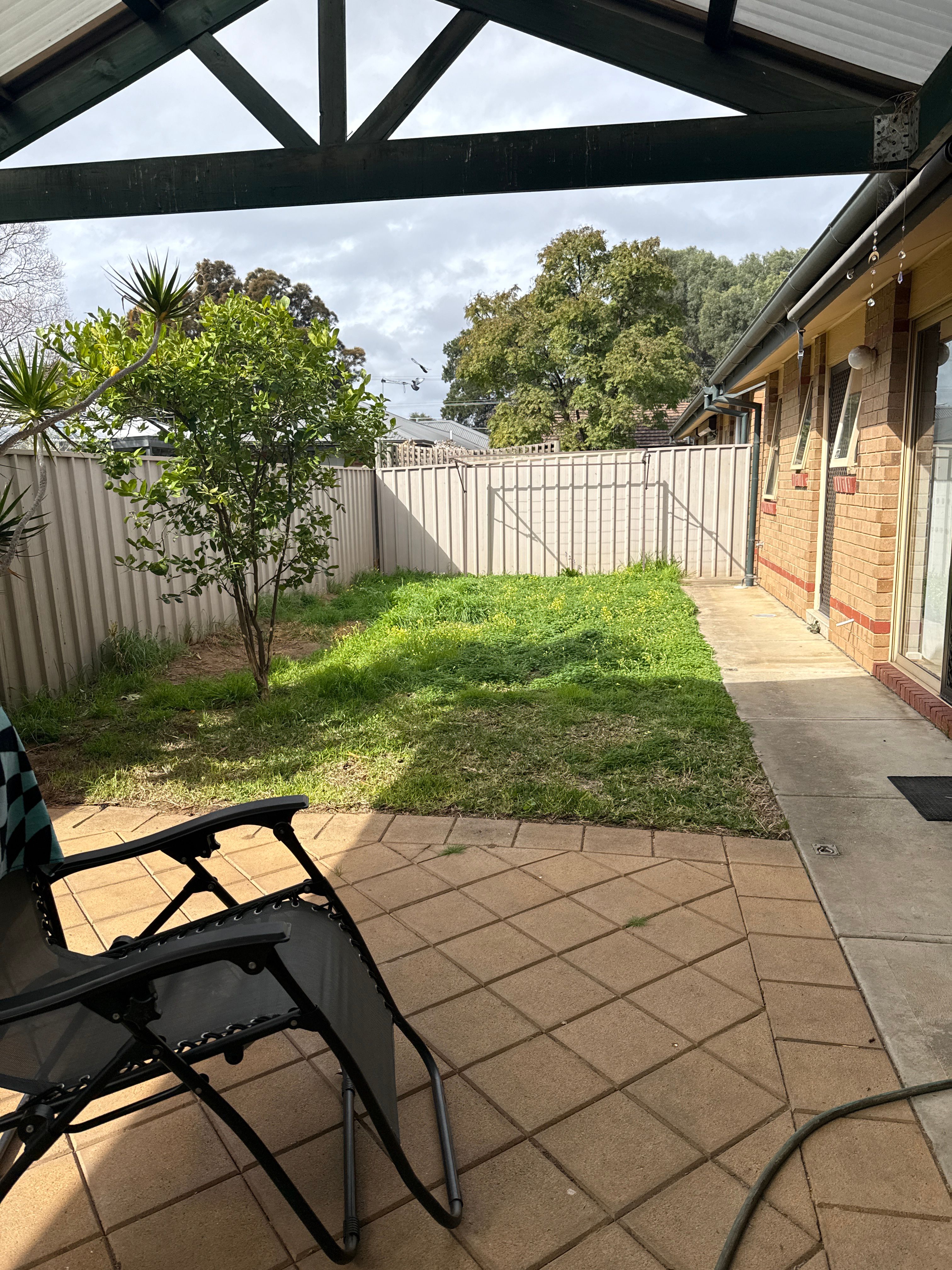 image-14