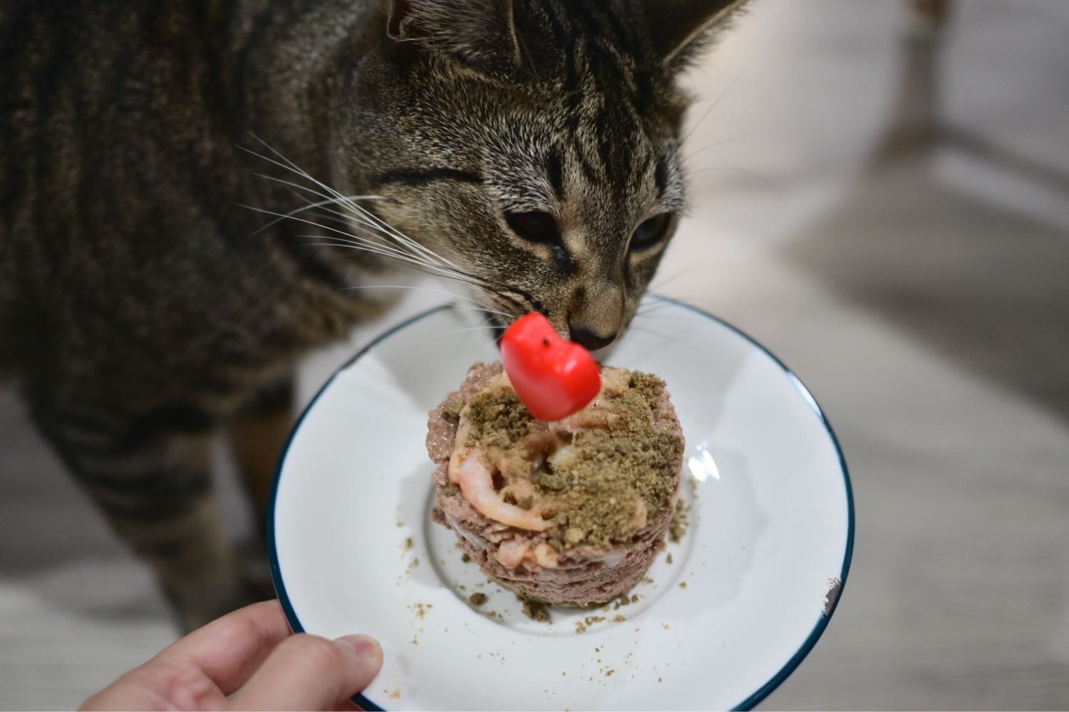 image-4