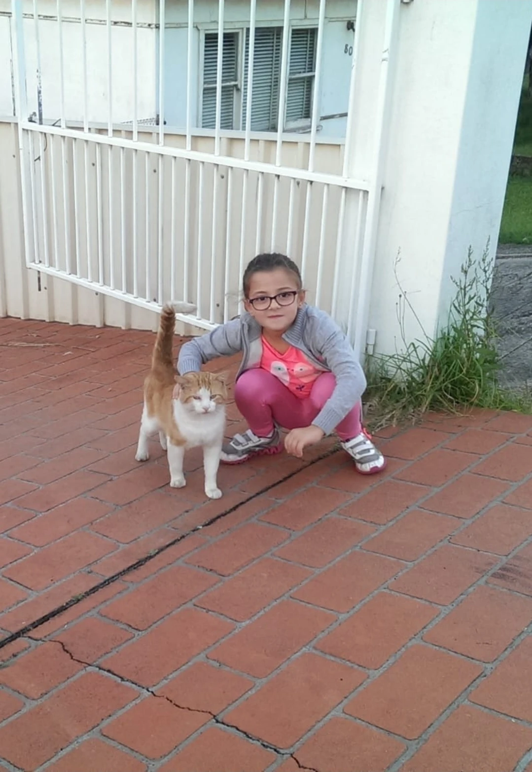 image-5