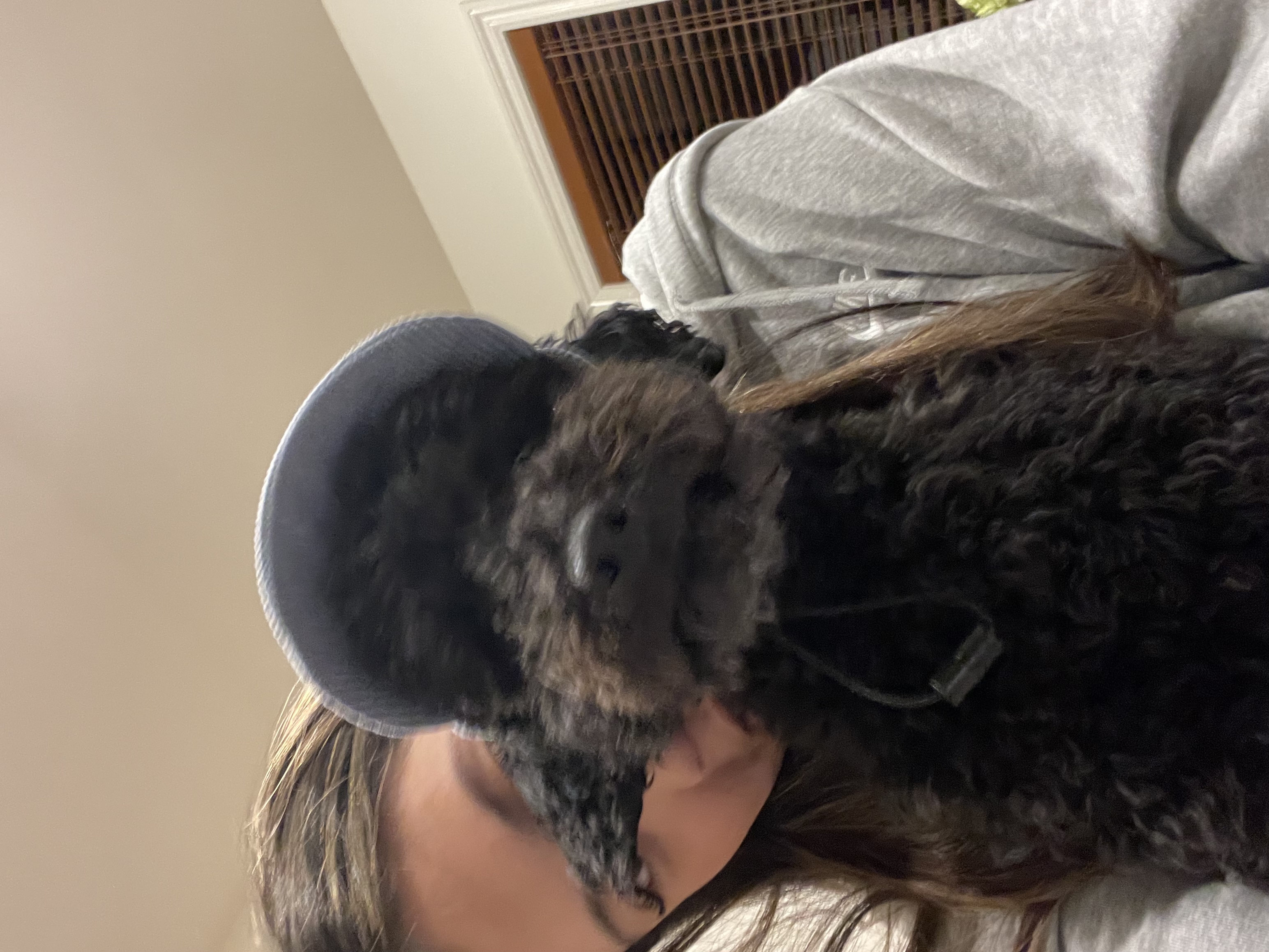 image-6