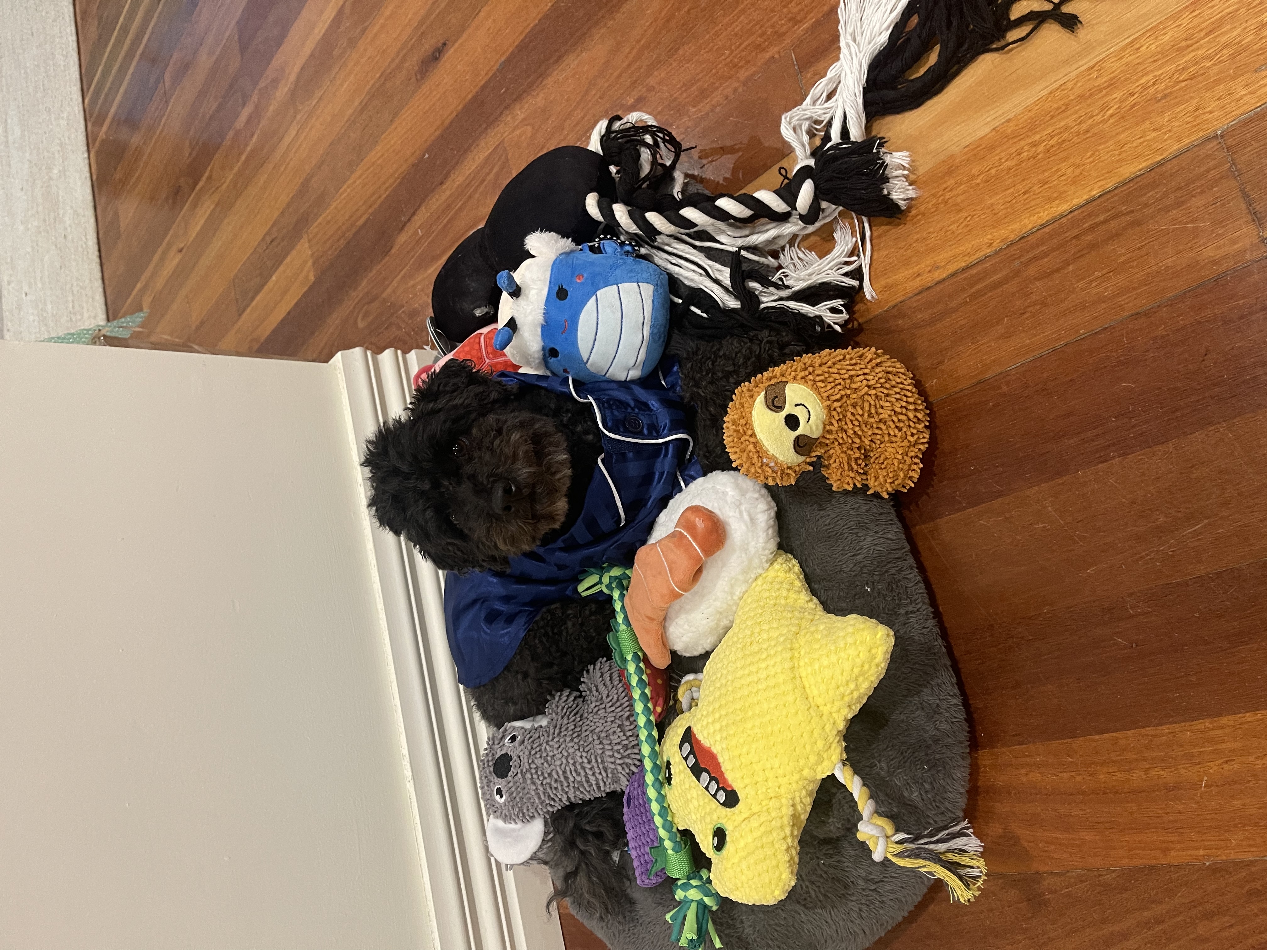 image-19