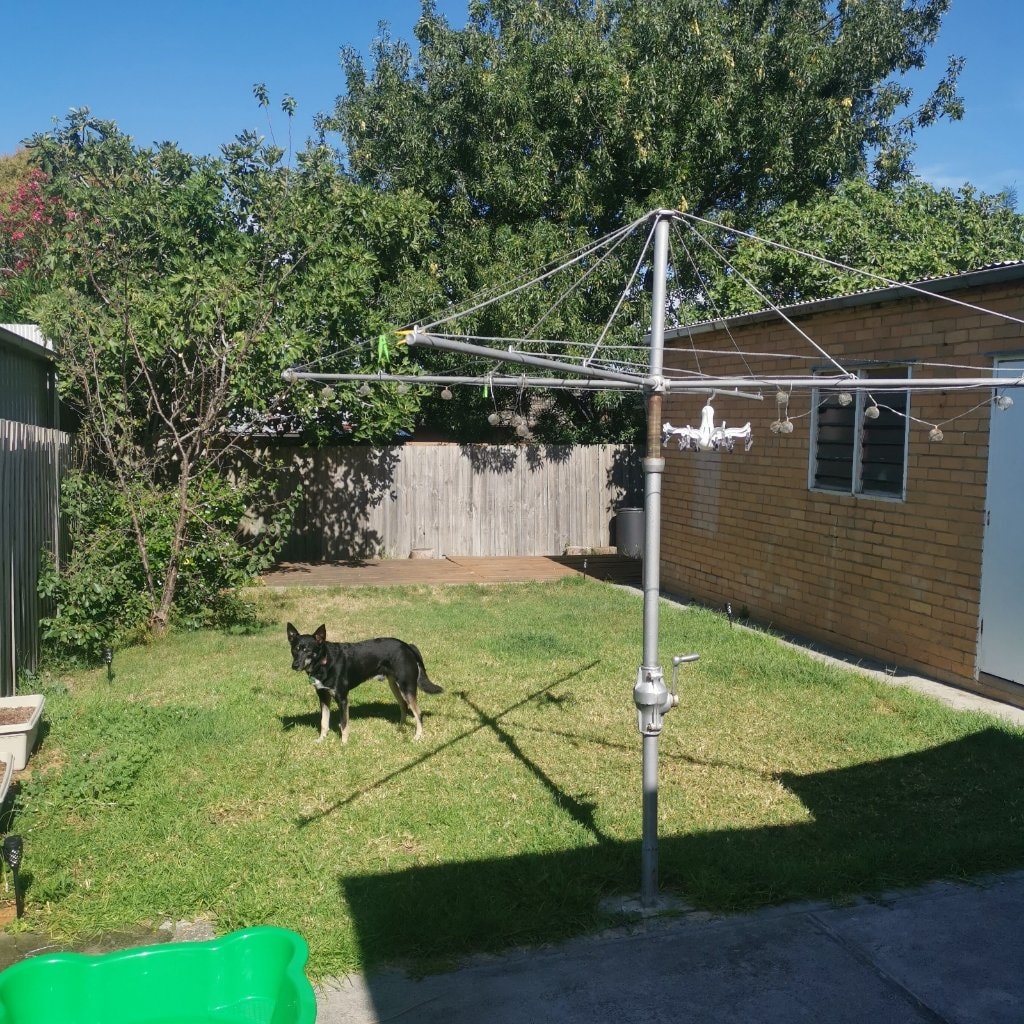 image-14