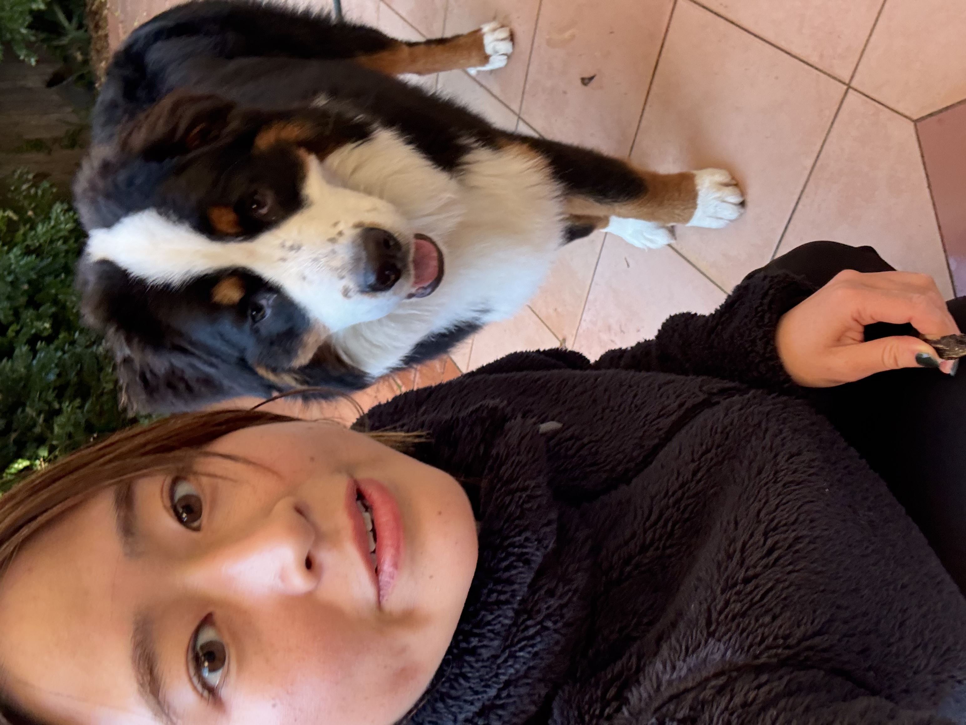 image-8