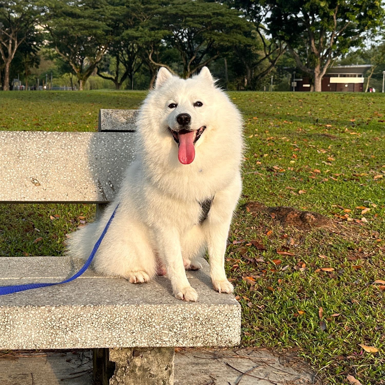 Victor