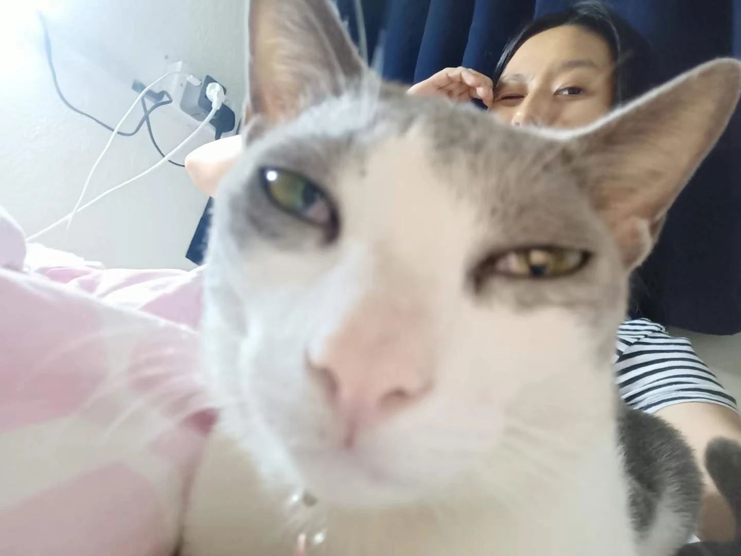 image-7