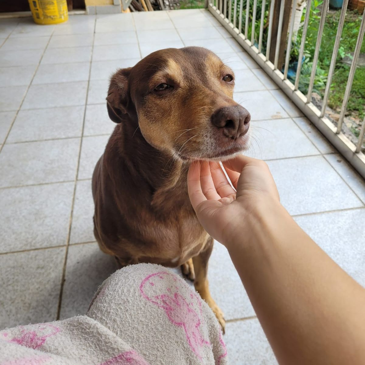 Aika