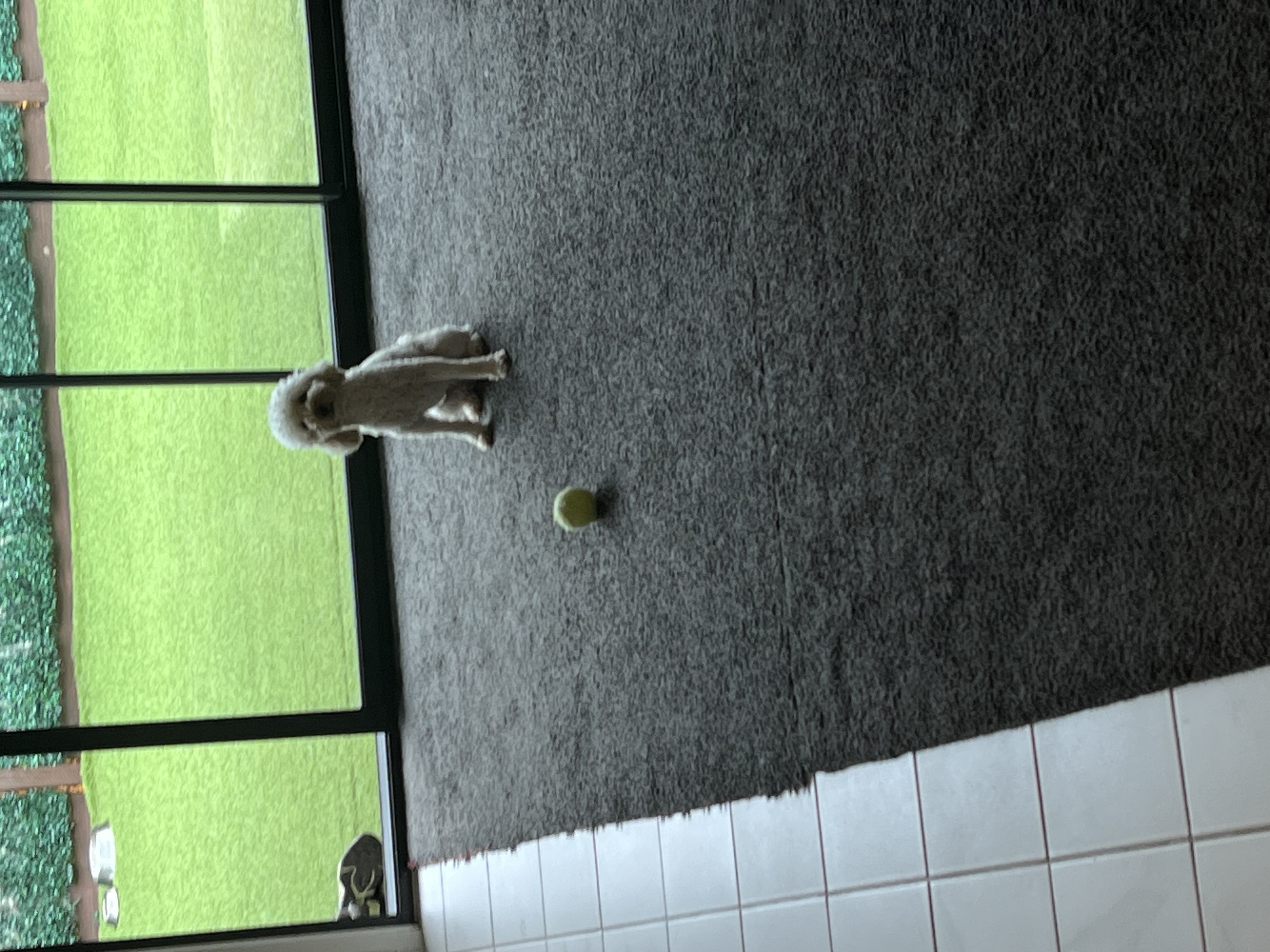 image-12