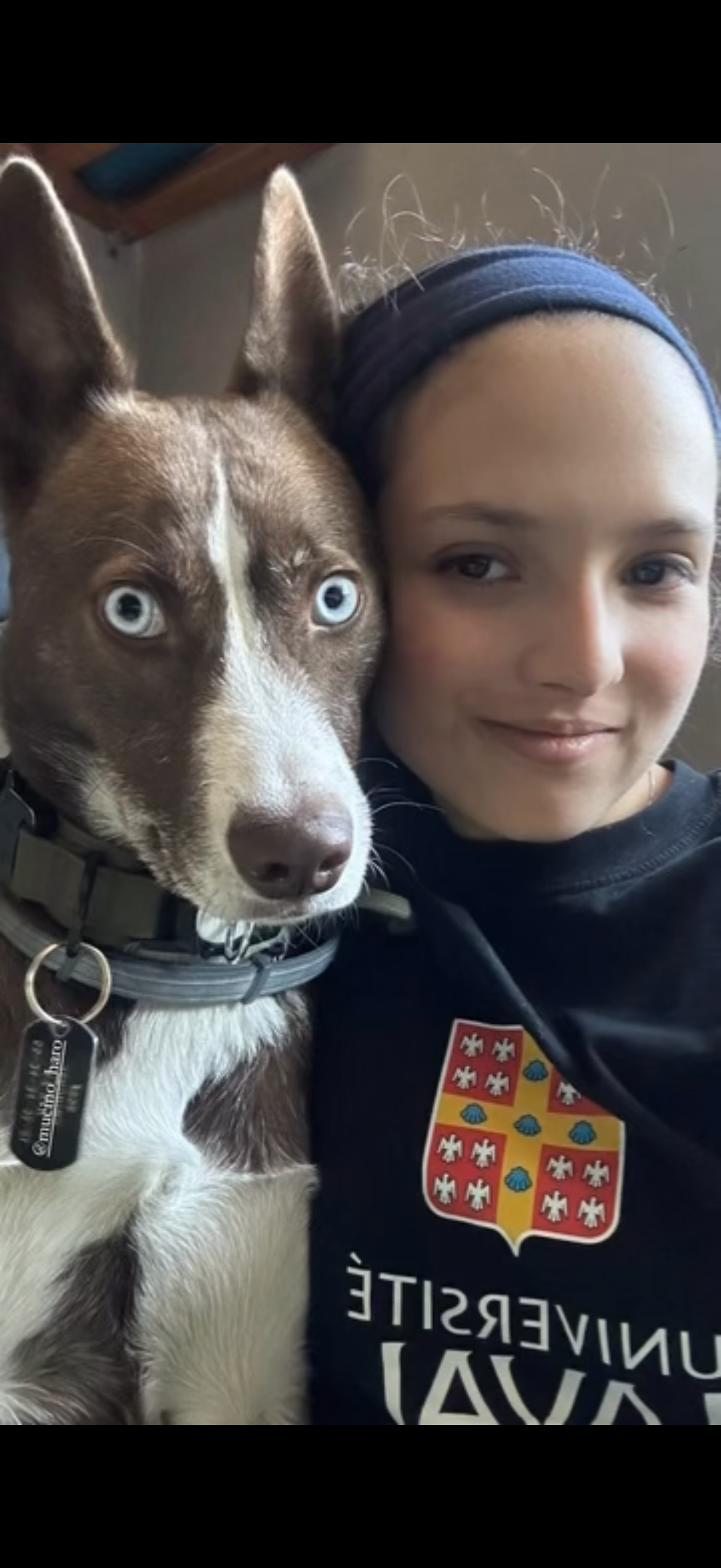 image-6