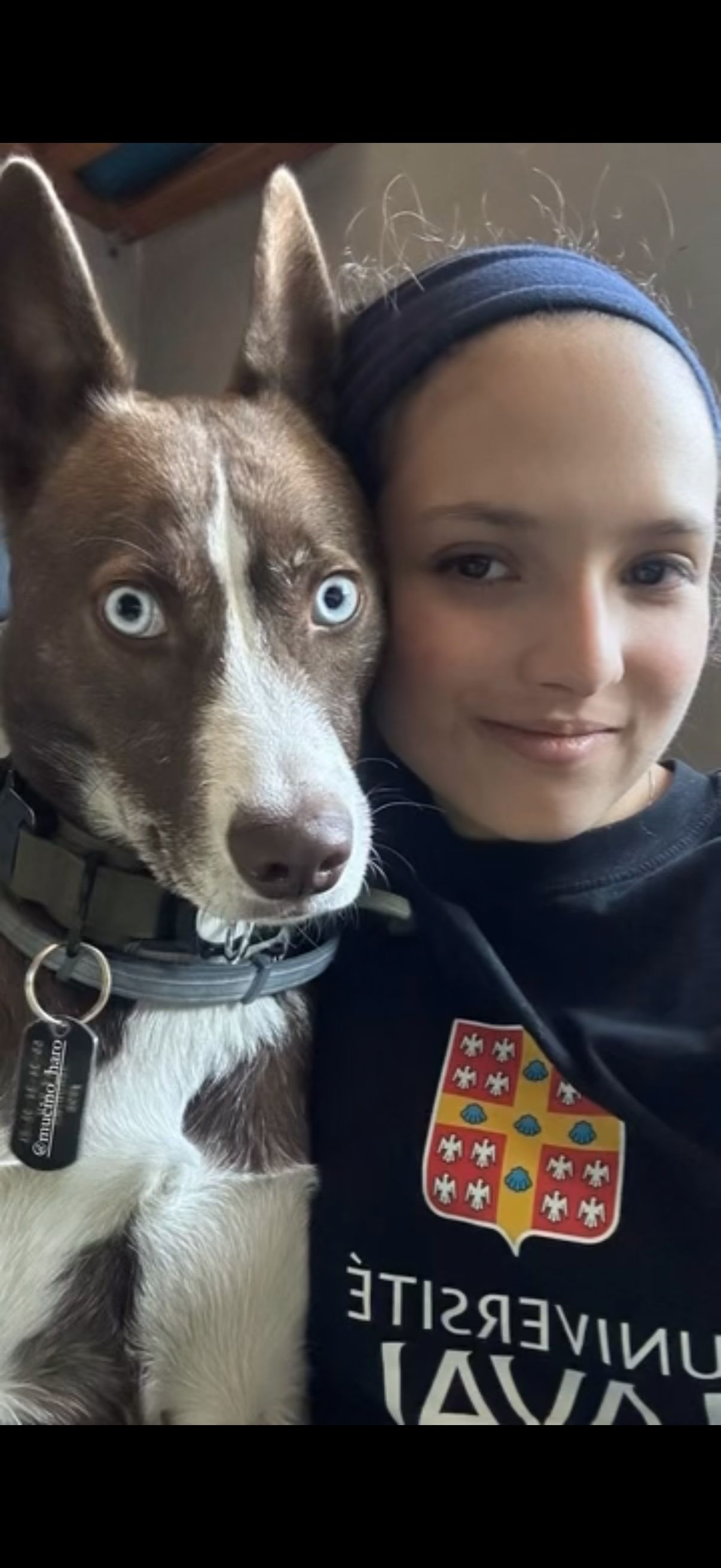 image-6
