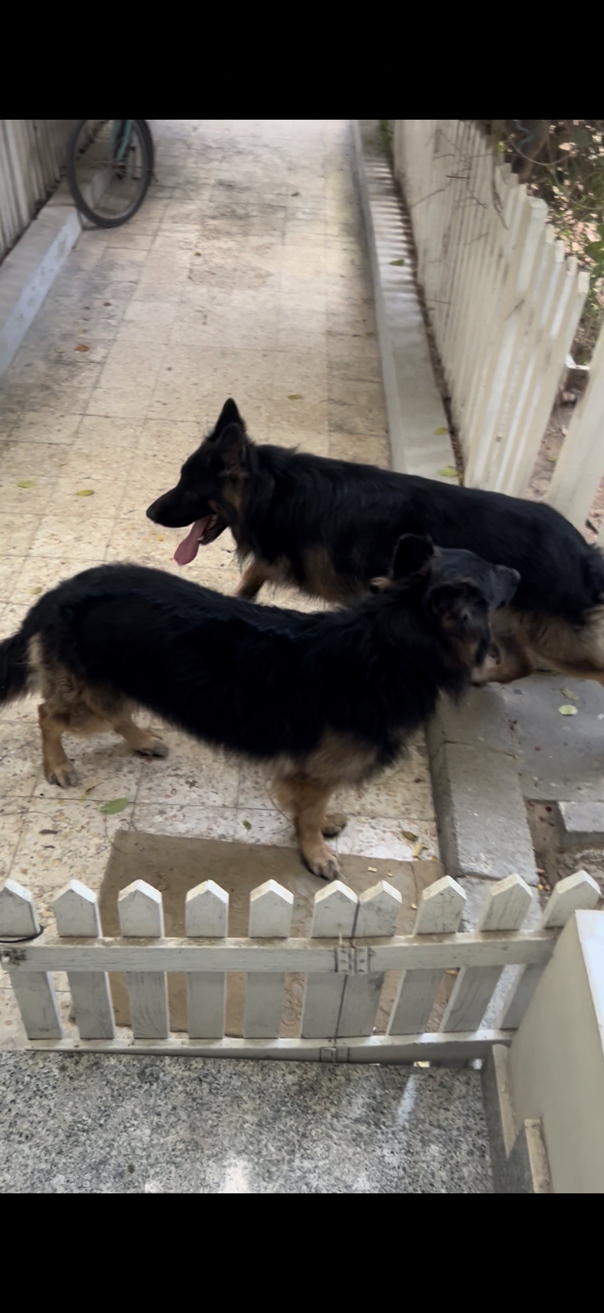image-6