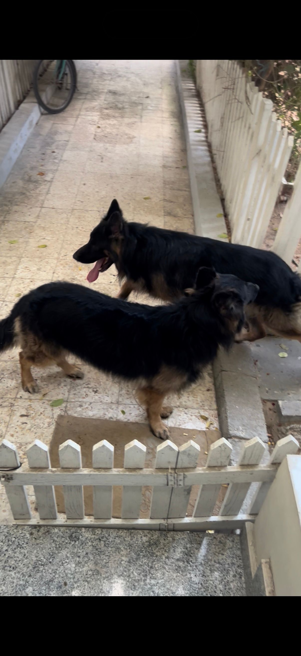 image-6