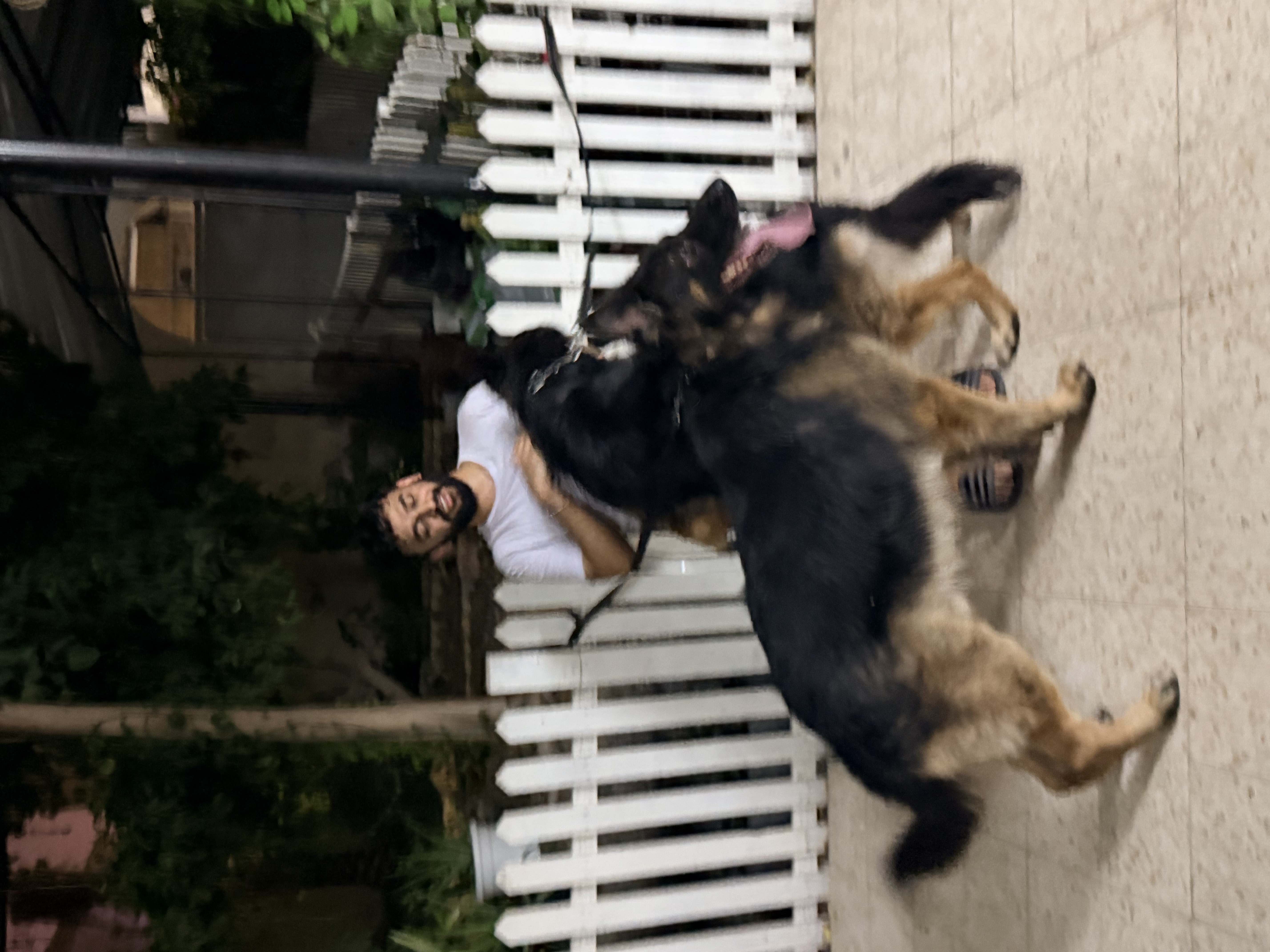 image-8