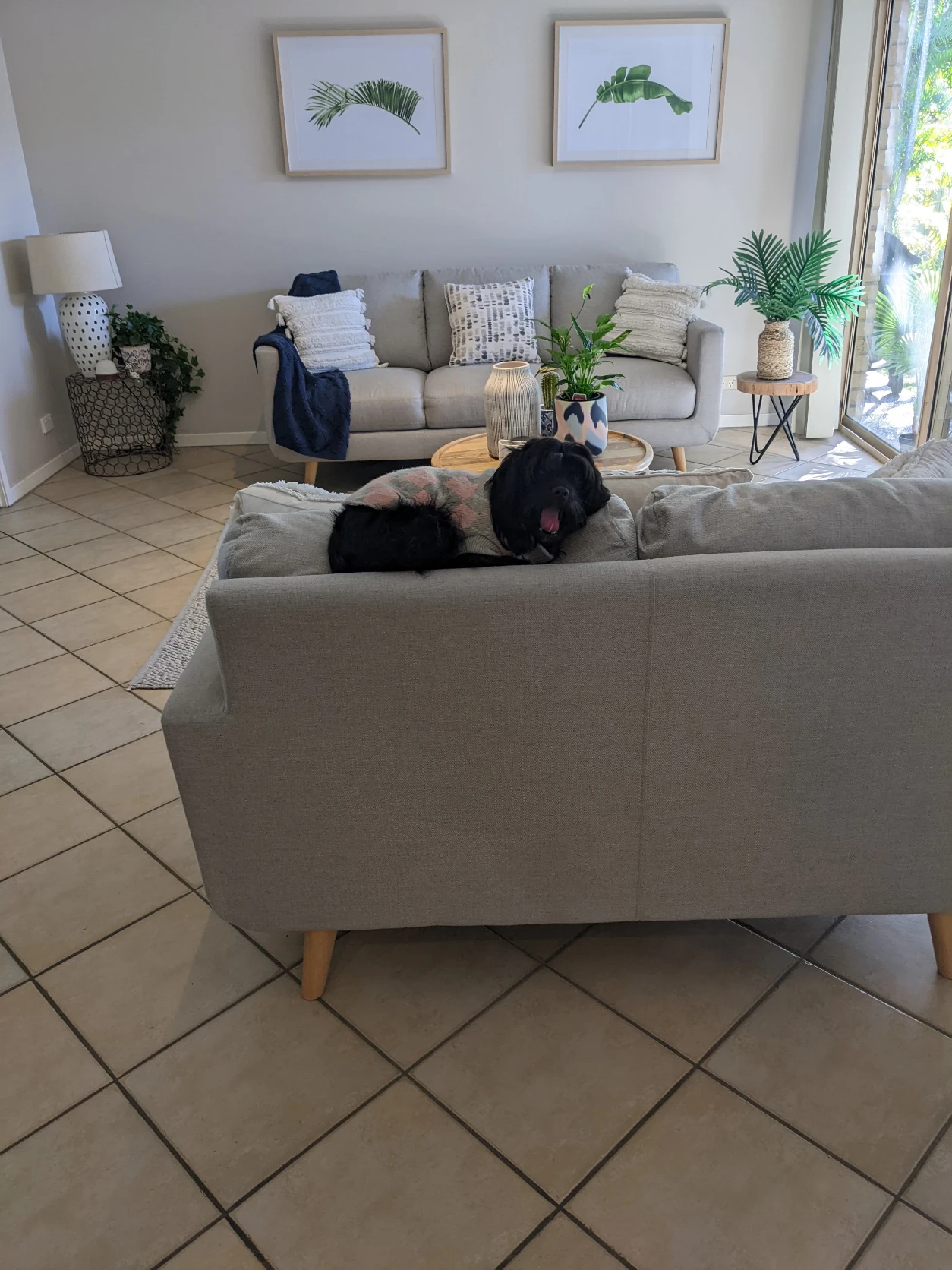 image-63