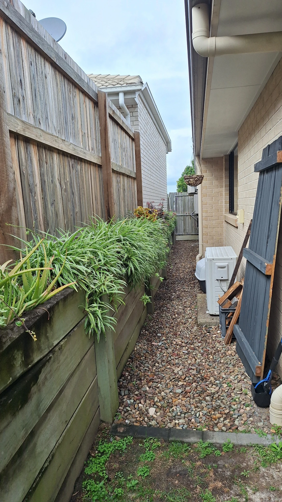 image-19