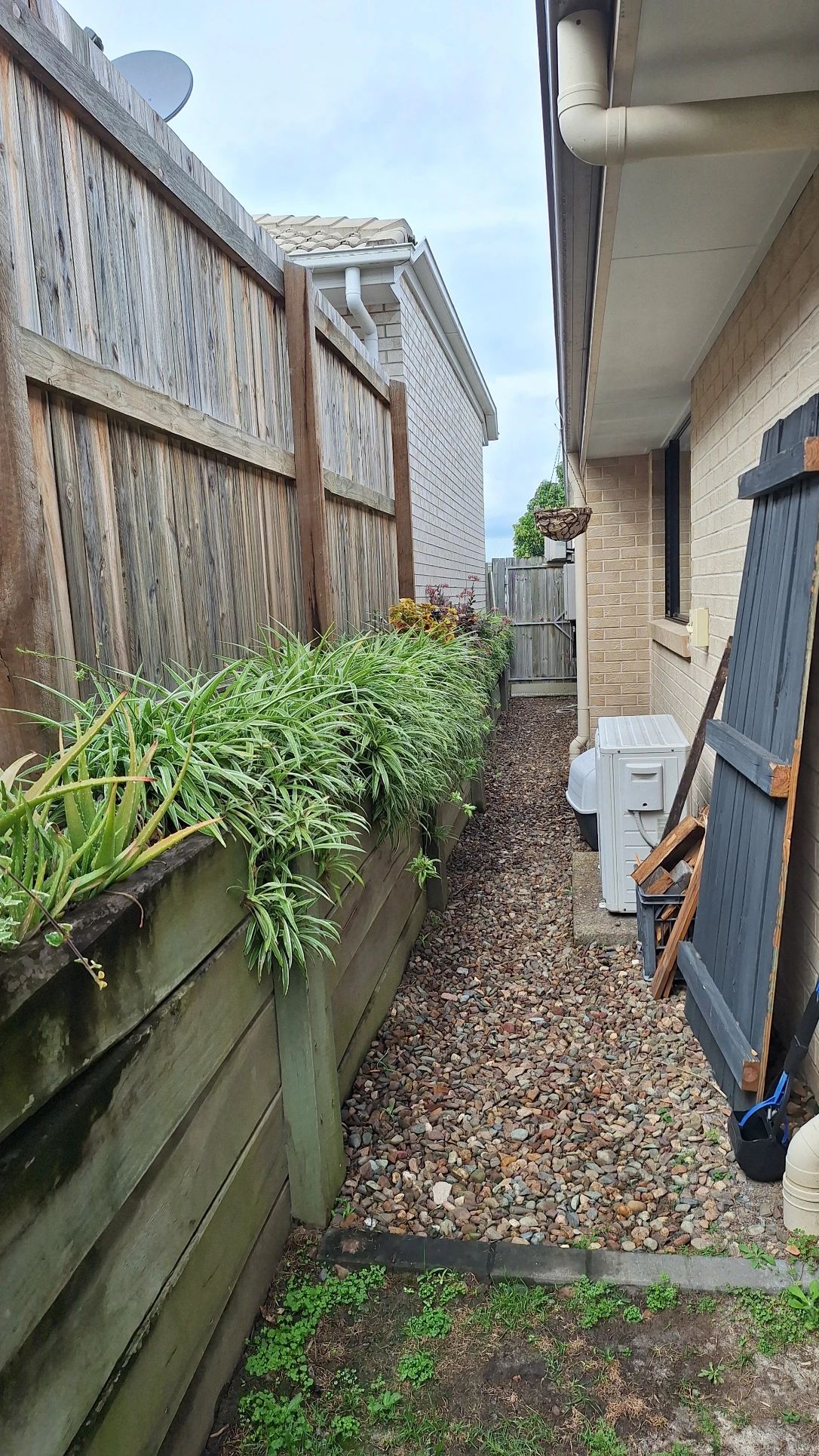 image-19