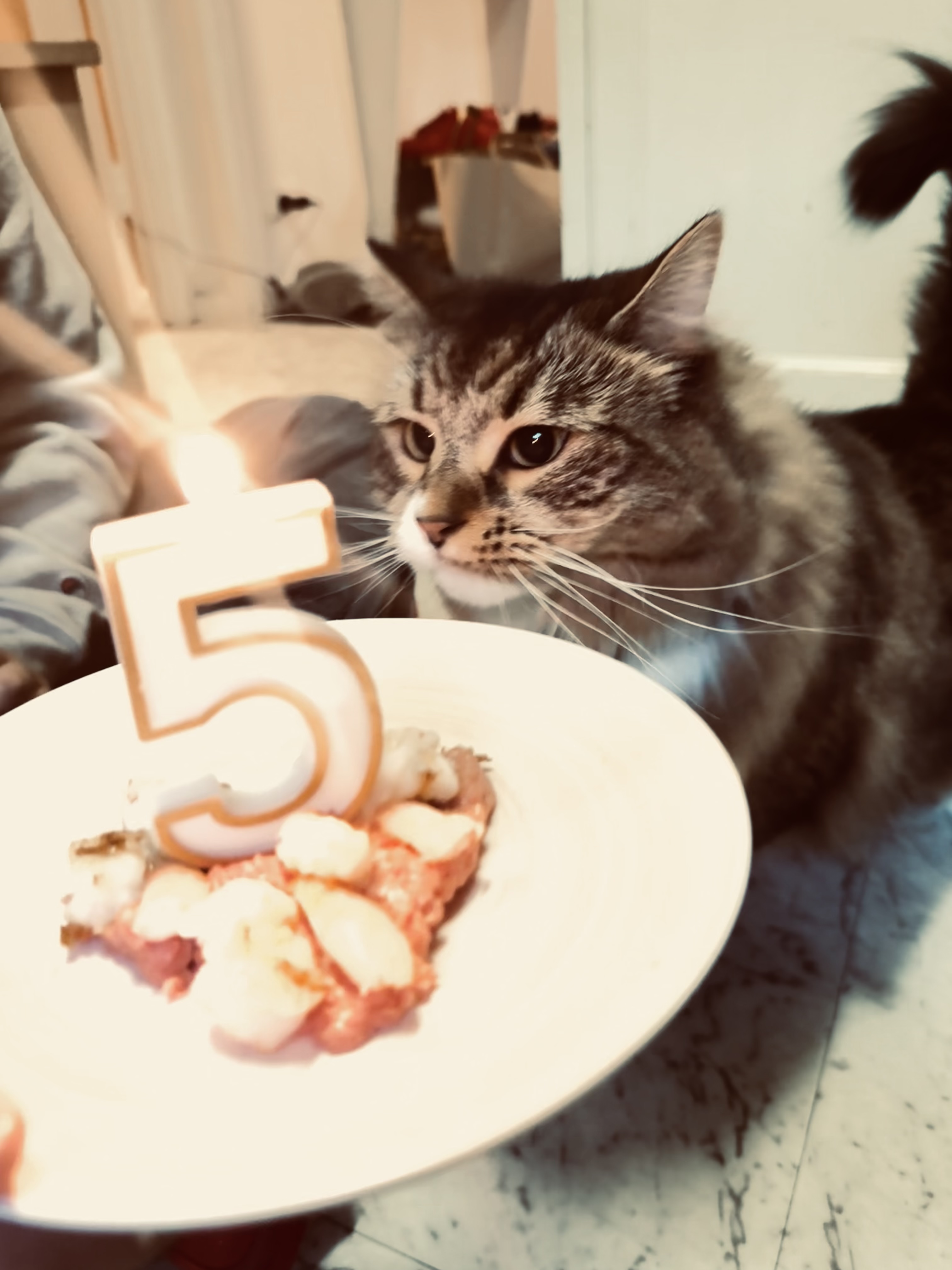 image-8