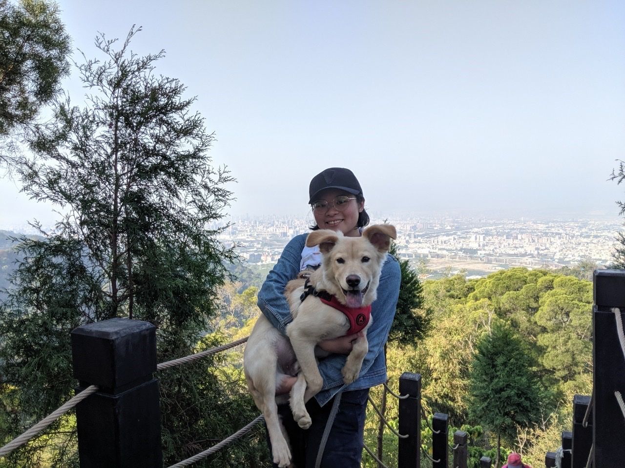 image-8