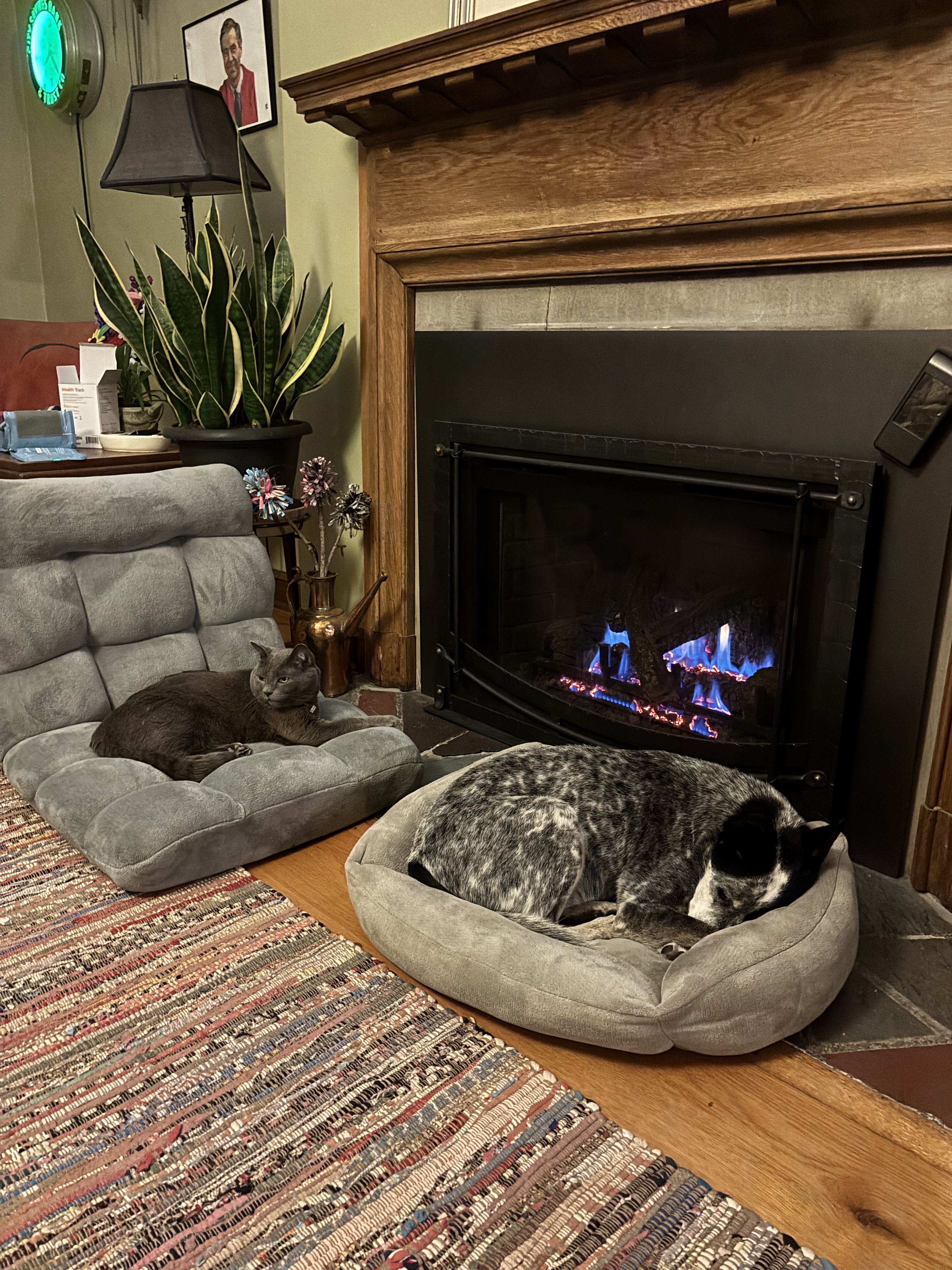 image-1
