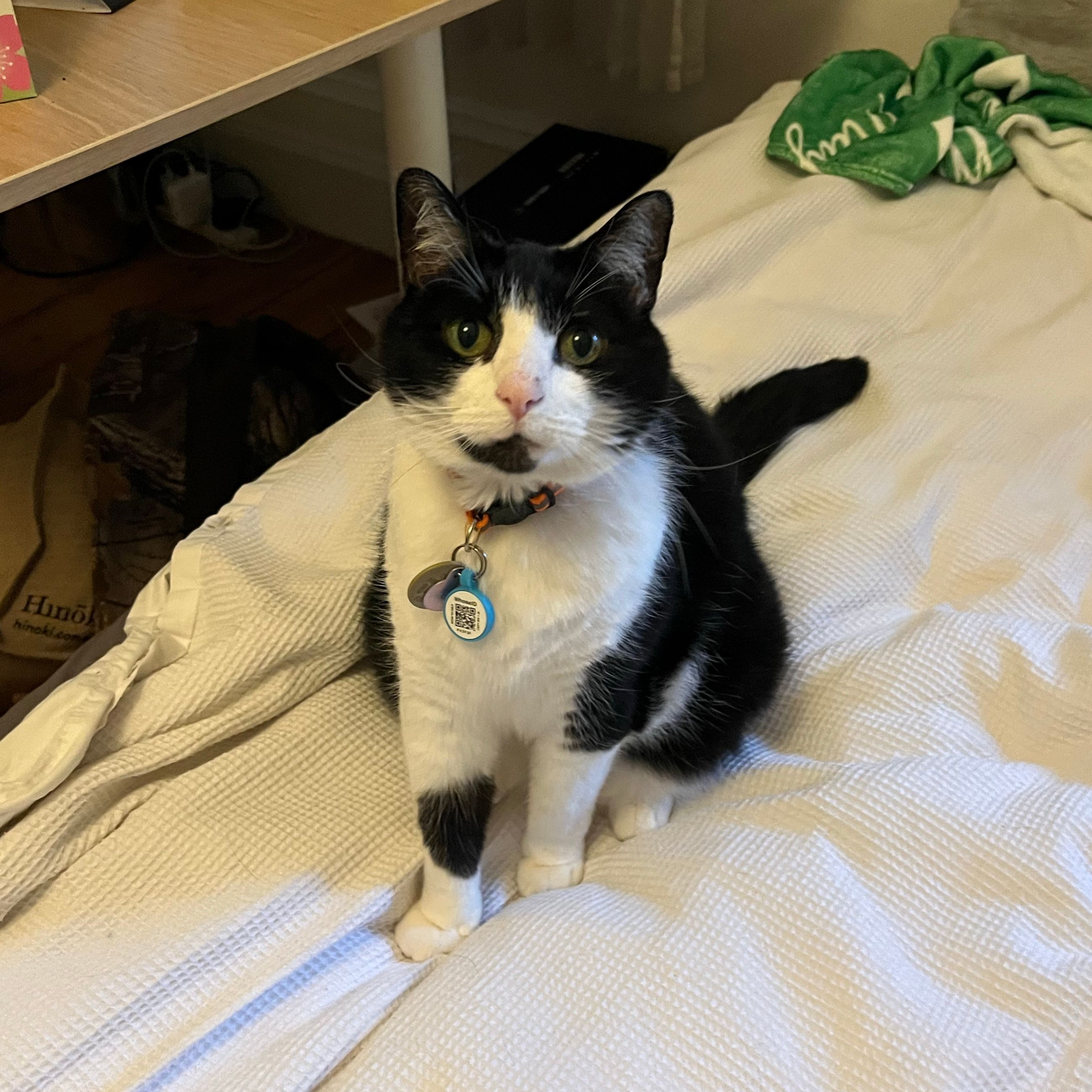 Buttercup