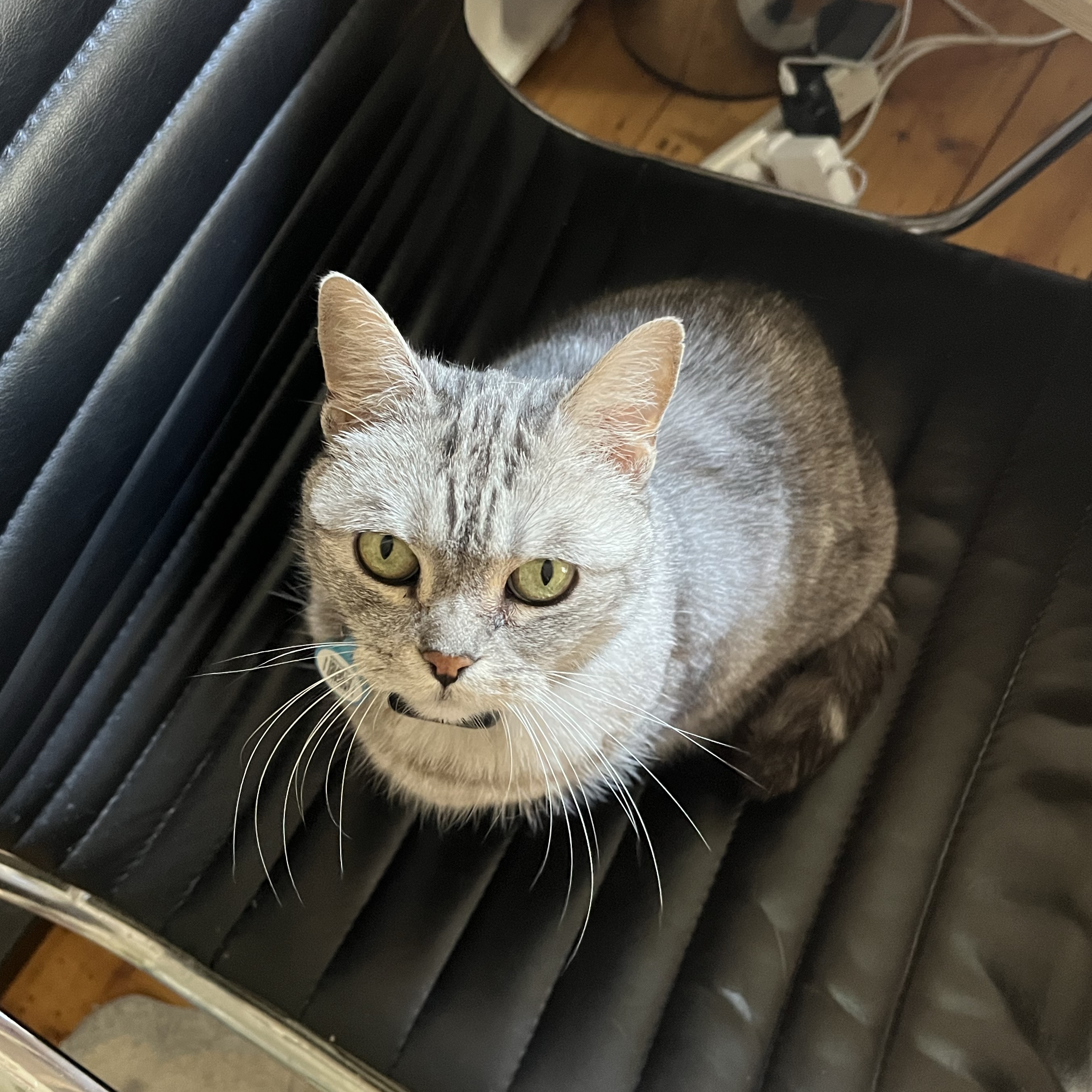 Max