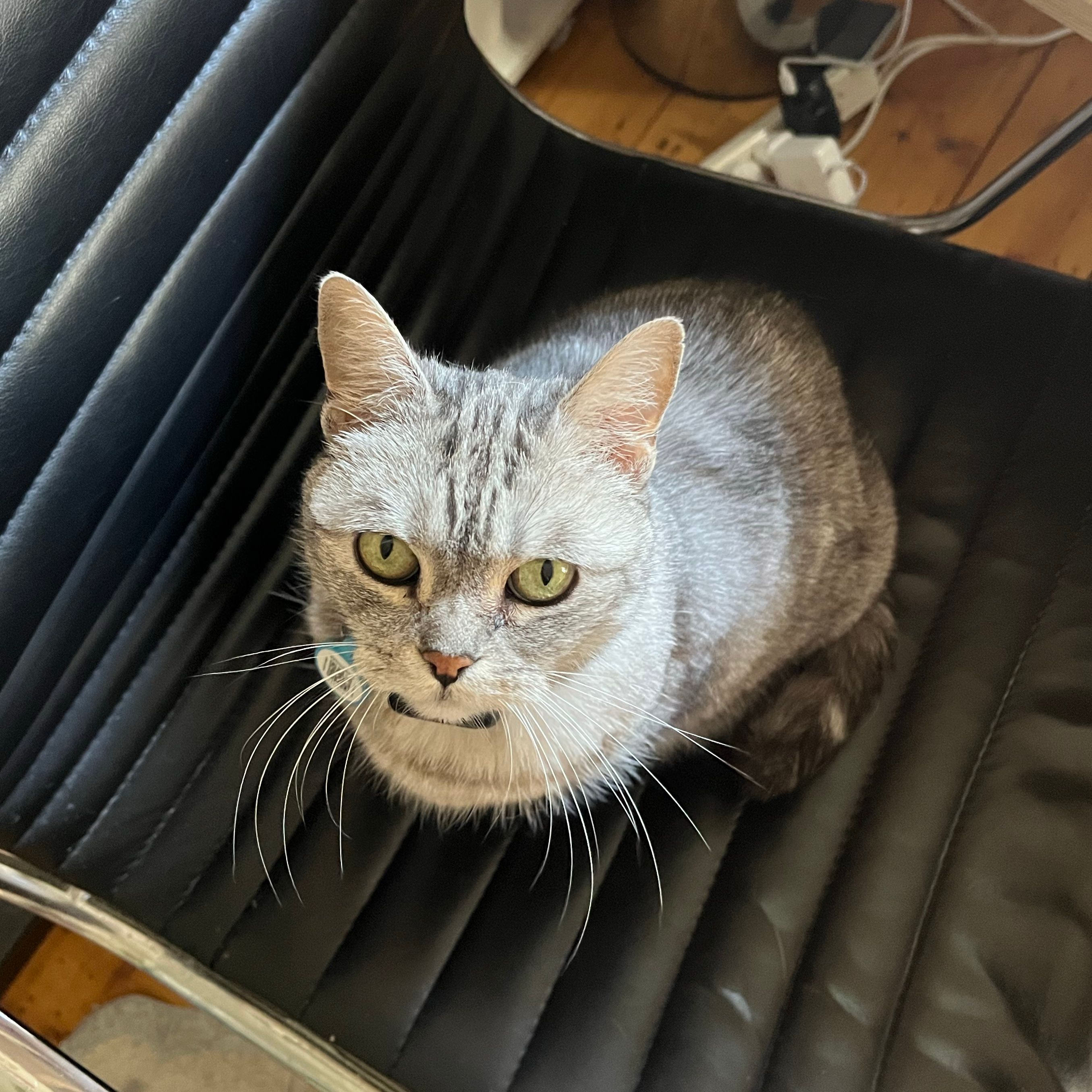Max