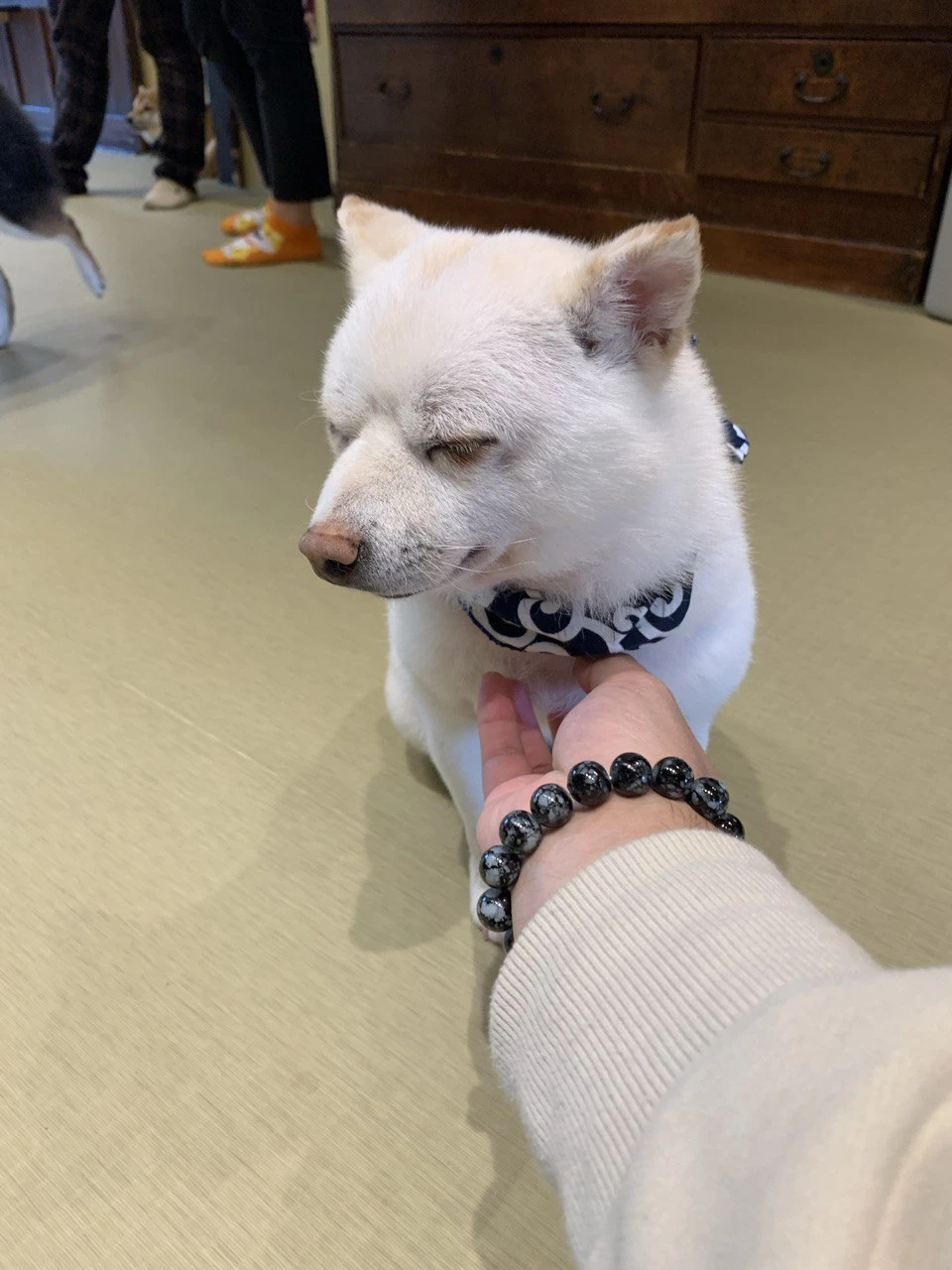 image-6