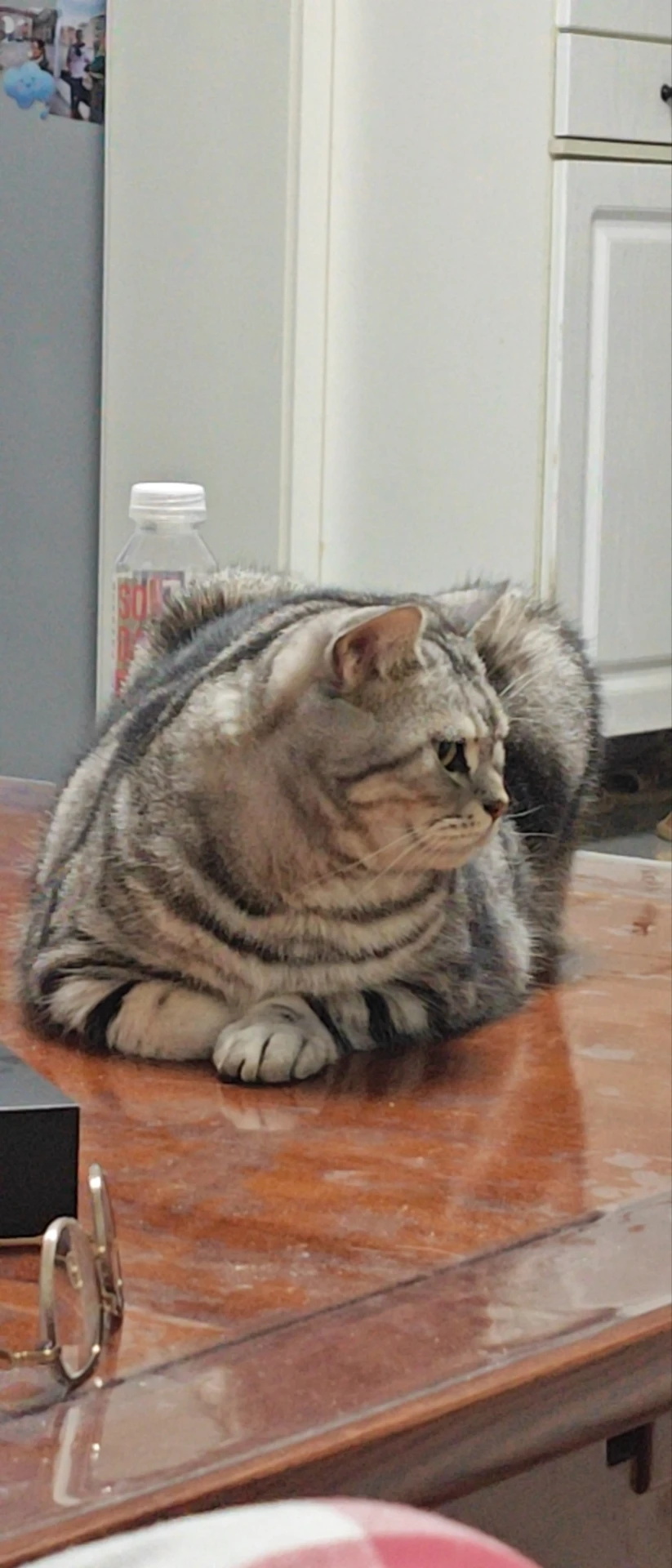 image-8