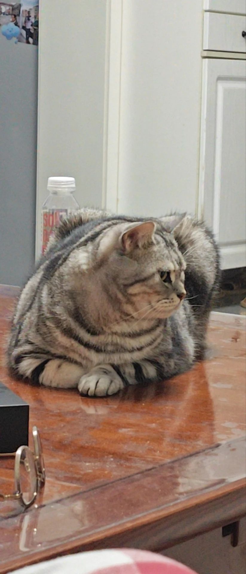 image-8