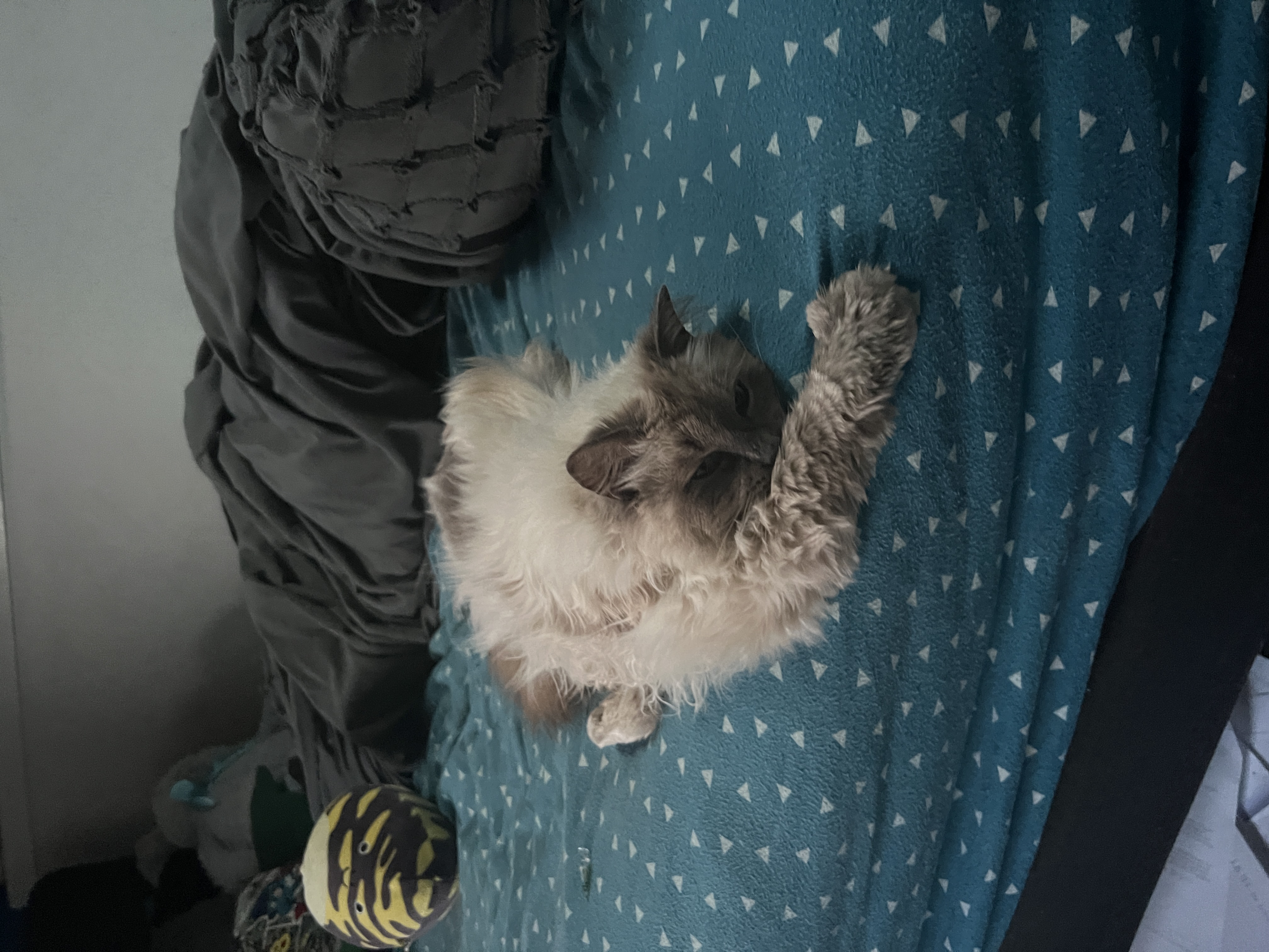 image-4