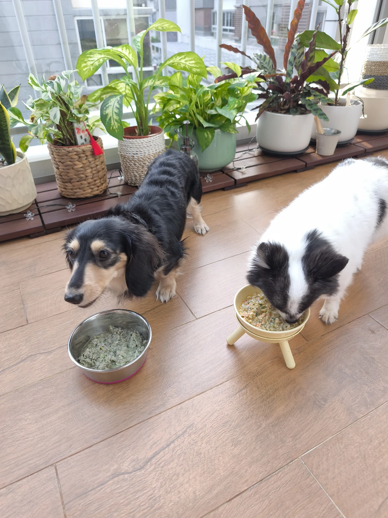 image-38