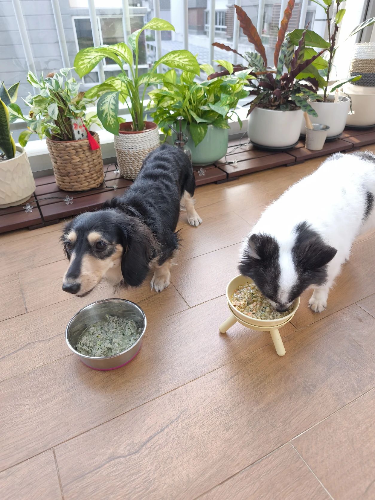 image-38