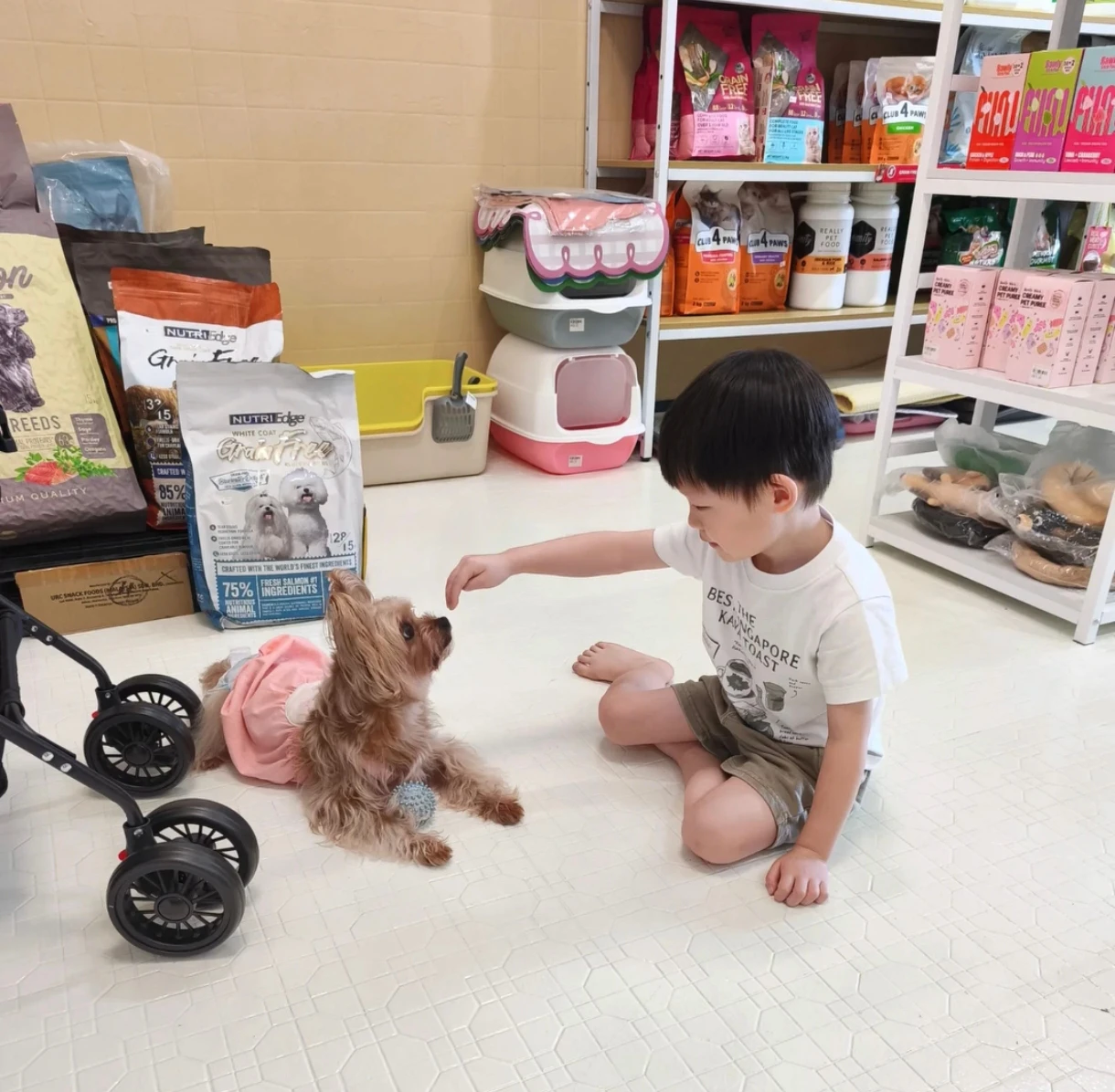 image-17