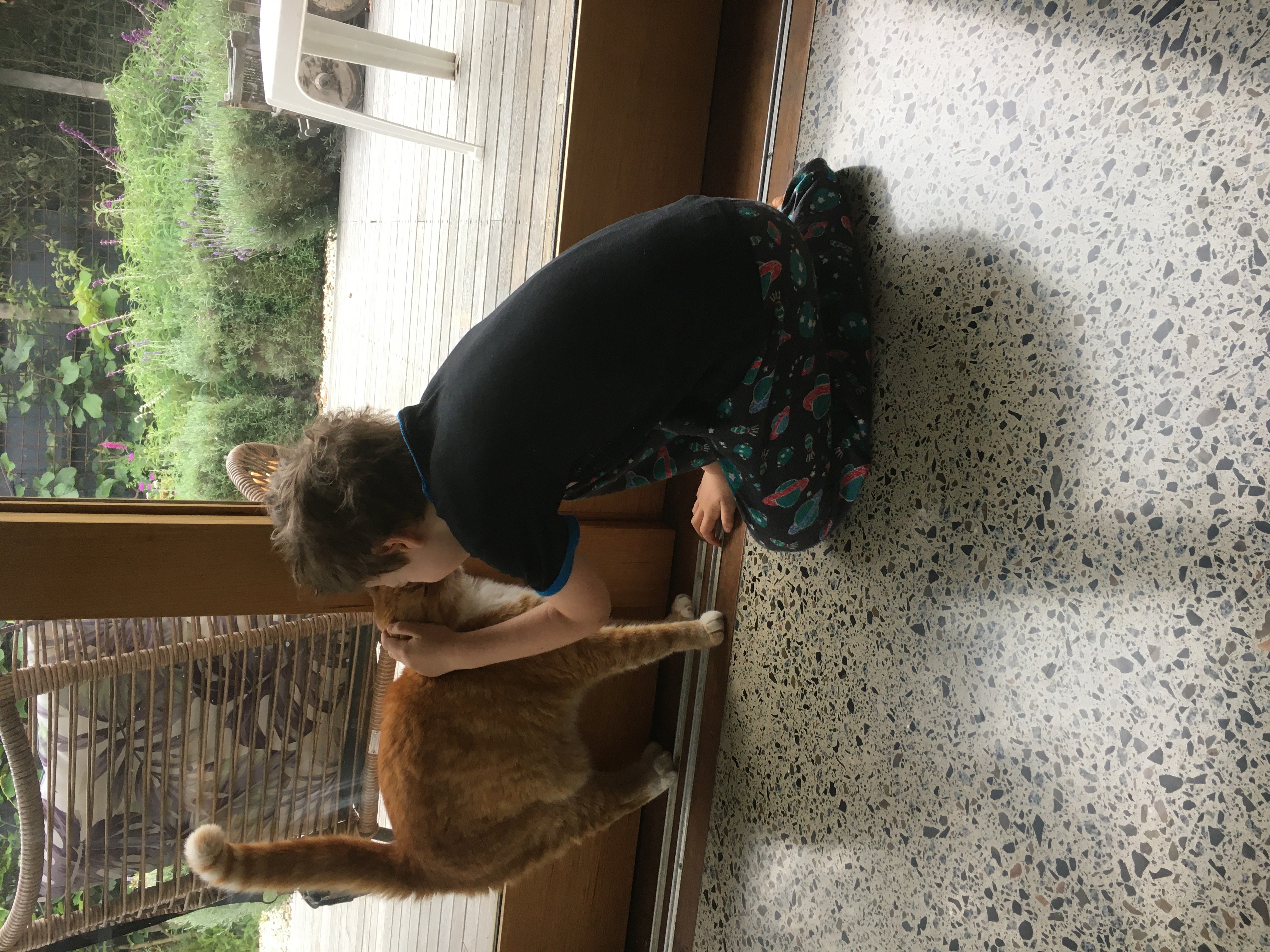 image-8