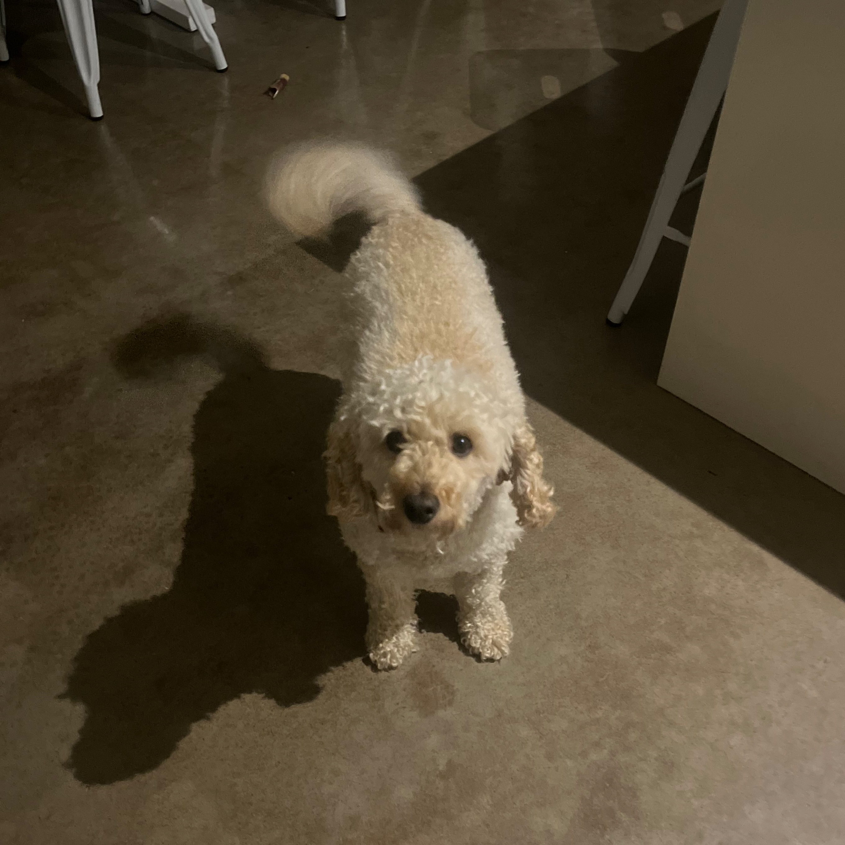 Rebekah