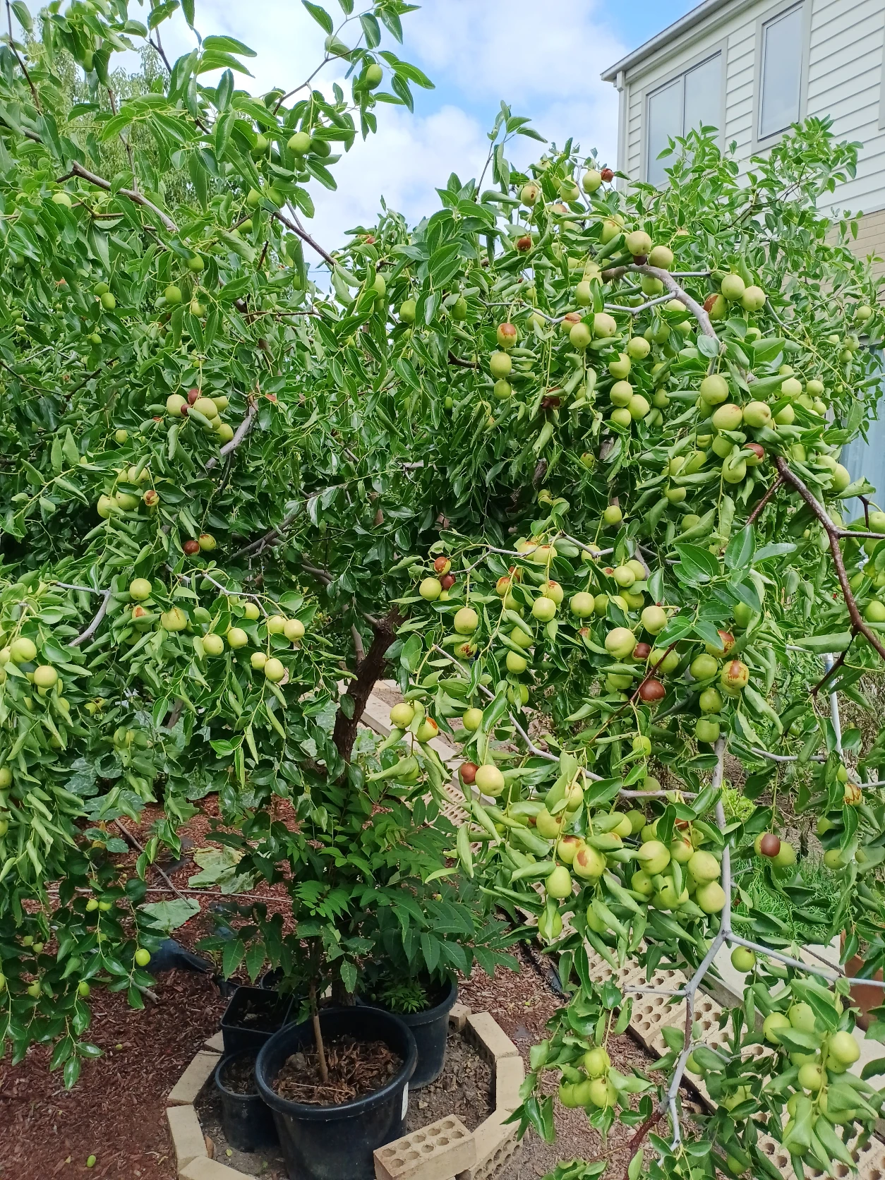 image-6