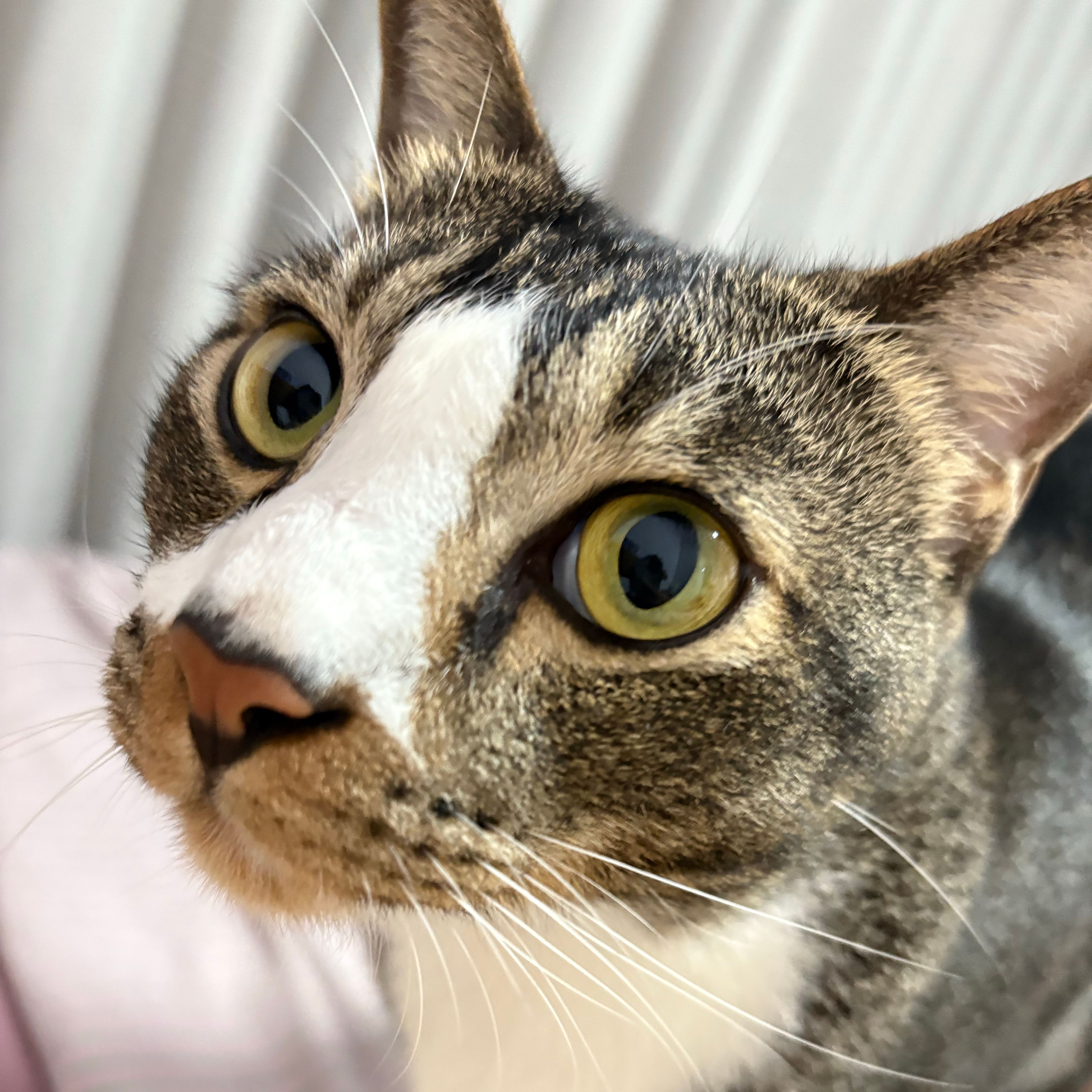 Charlie
