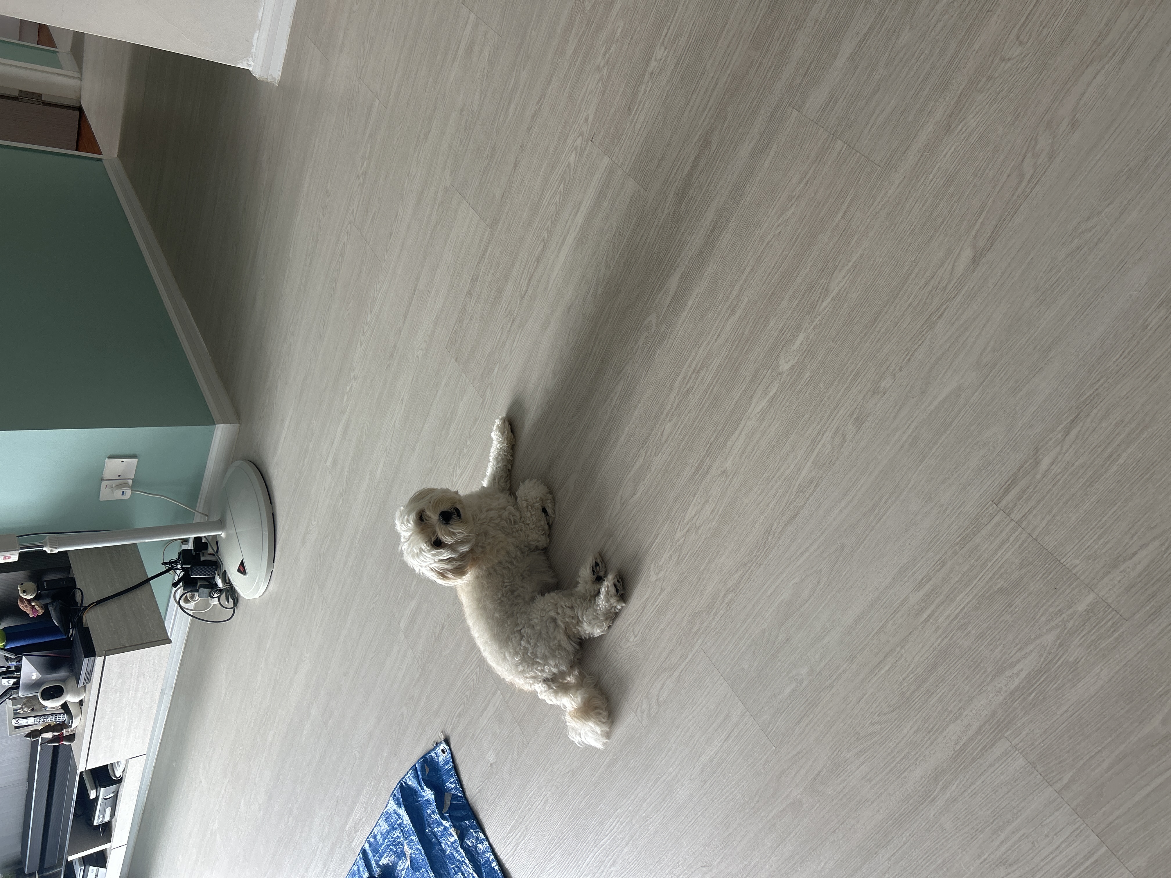 image-9
