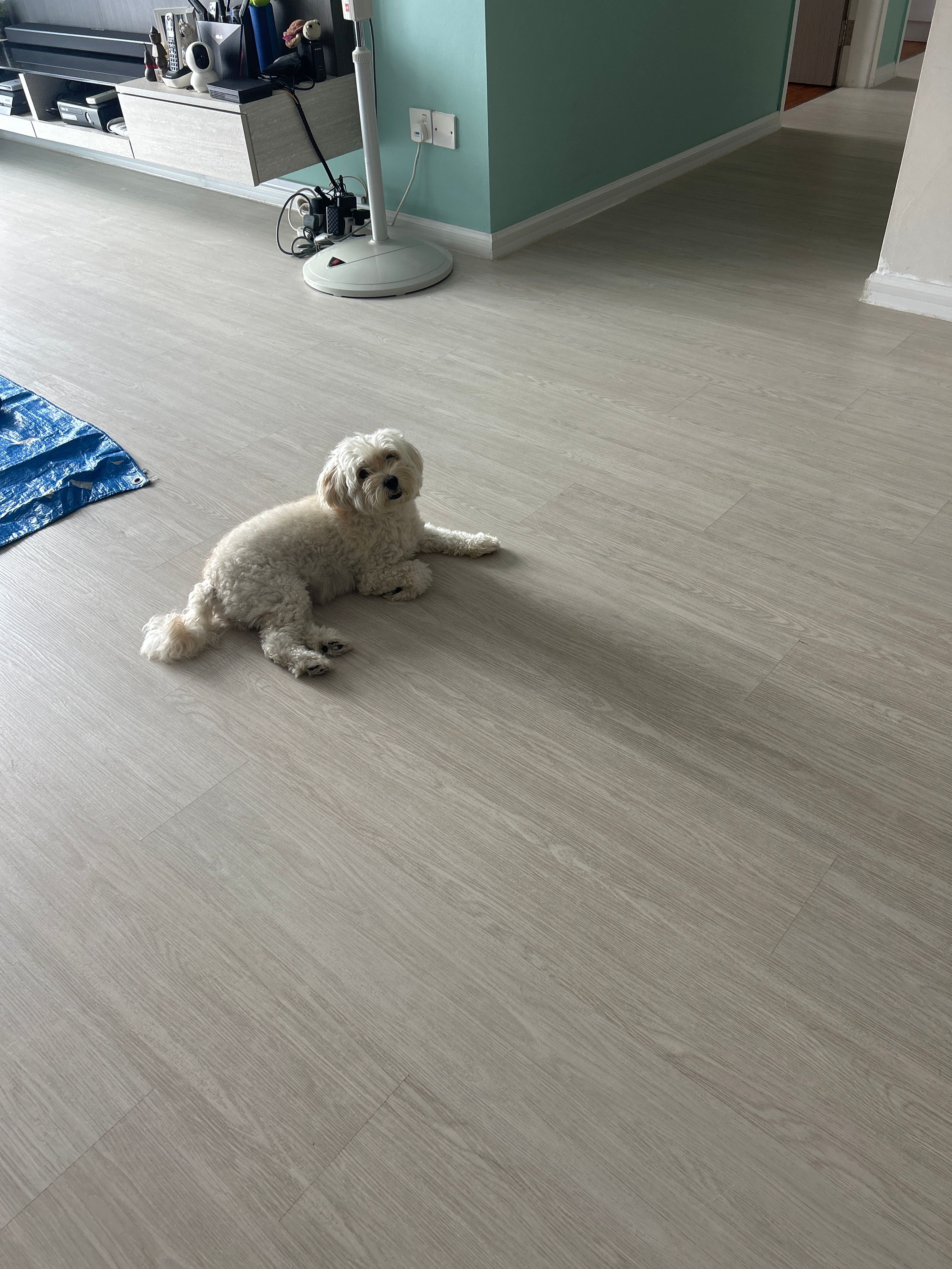 image-9
