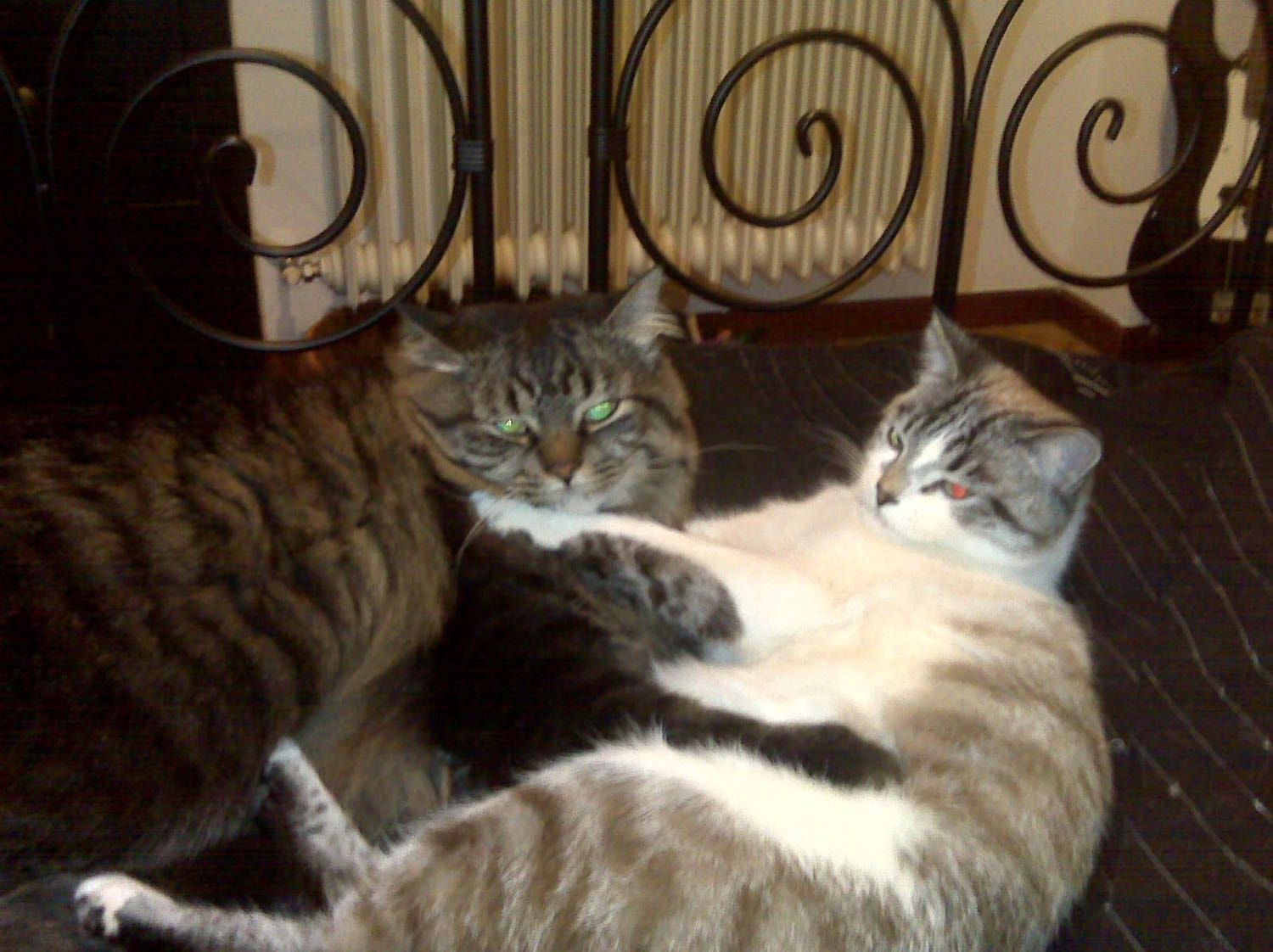 image-5