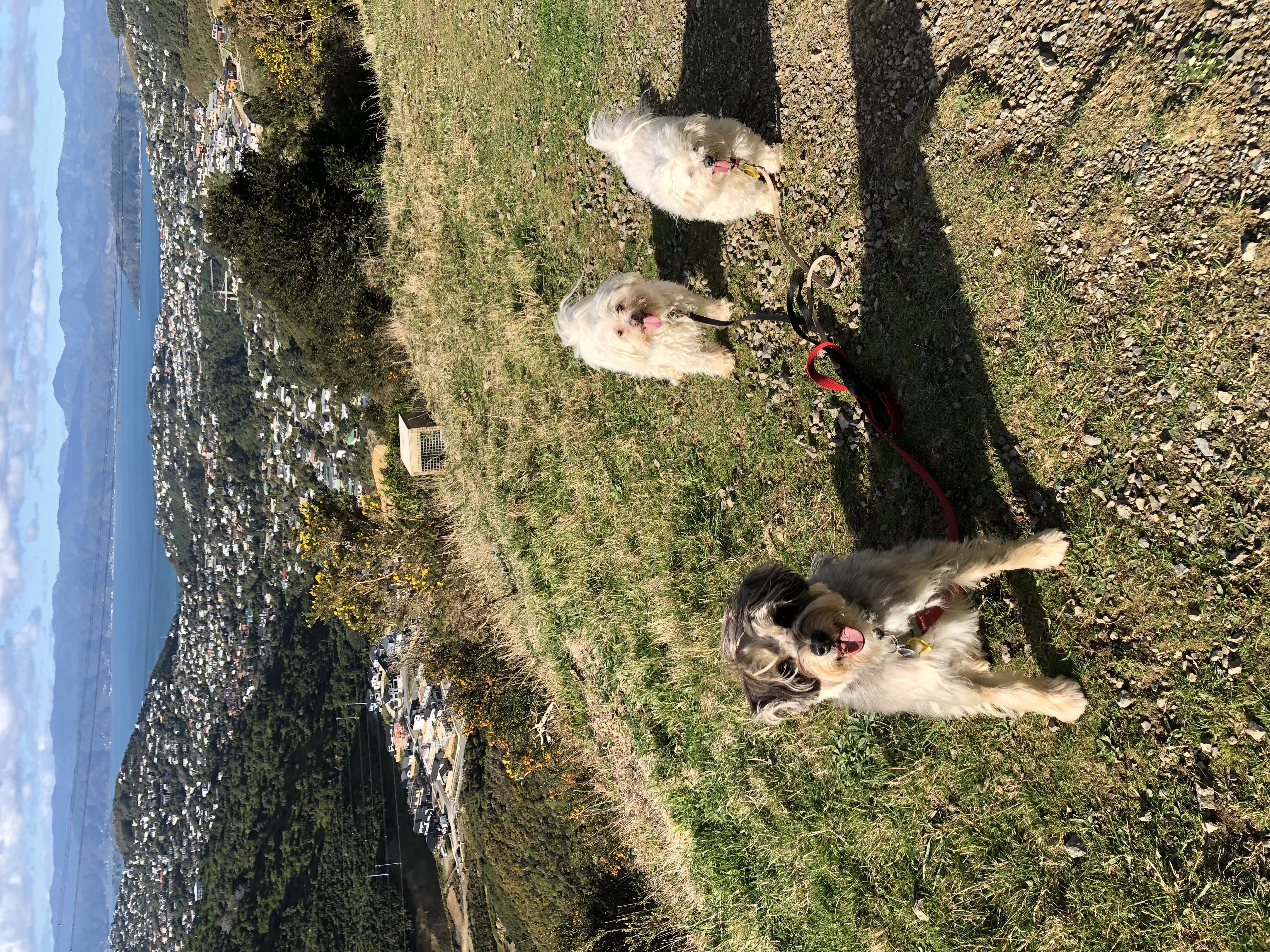 image-3