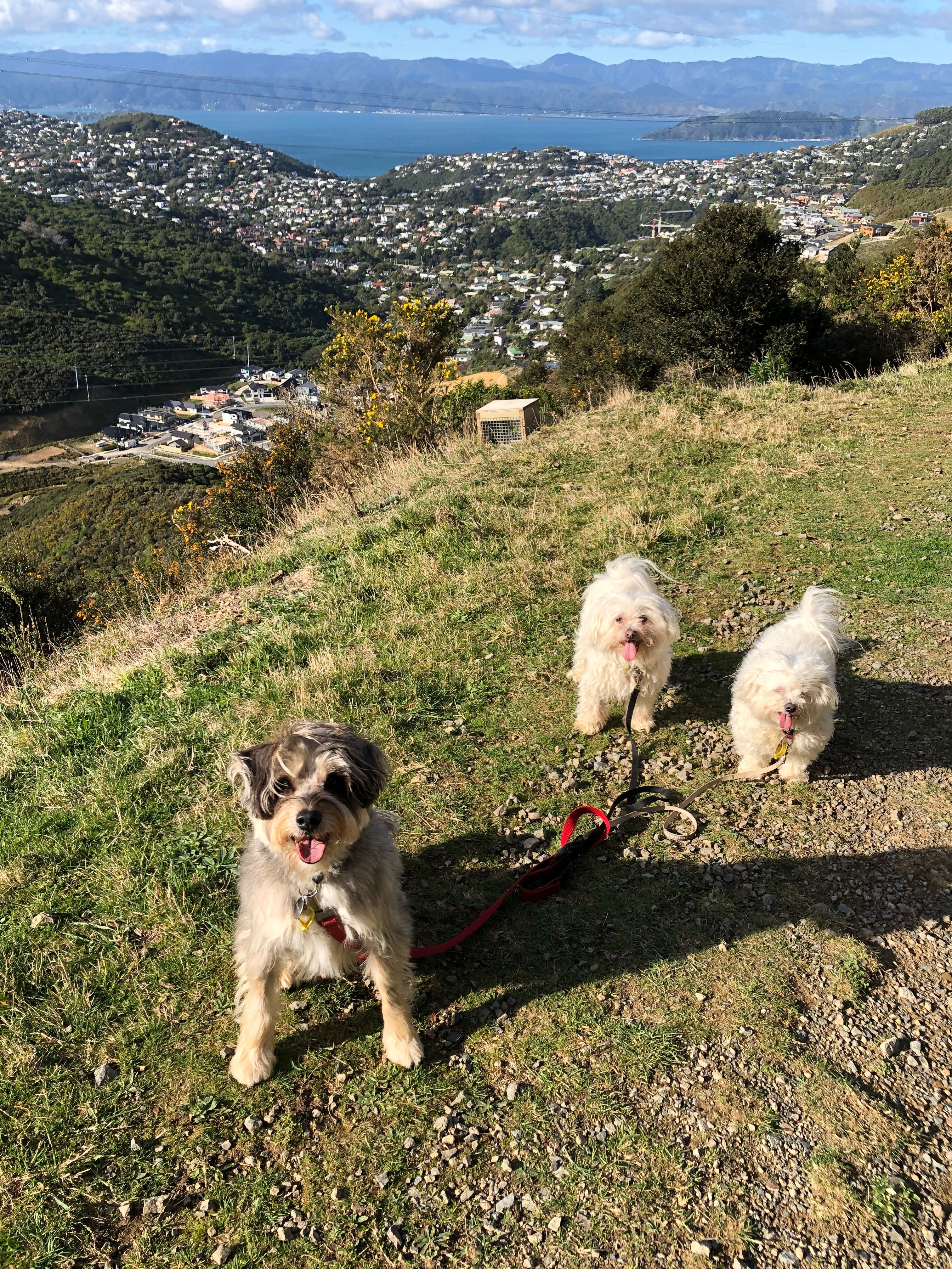 image-3