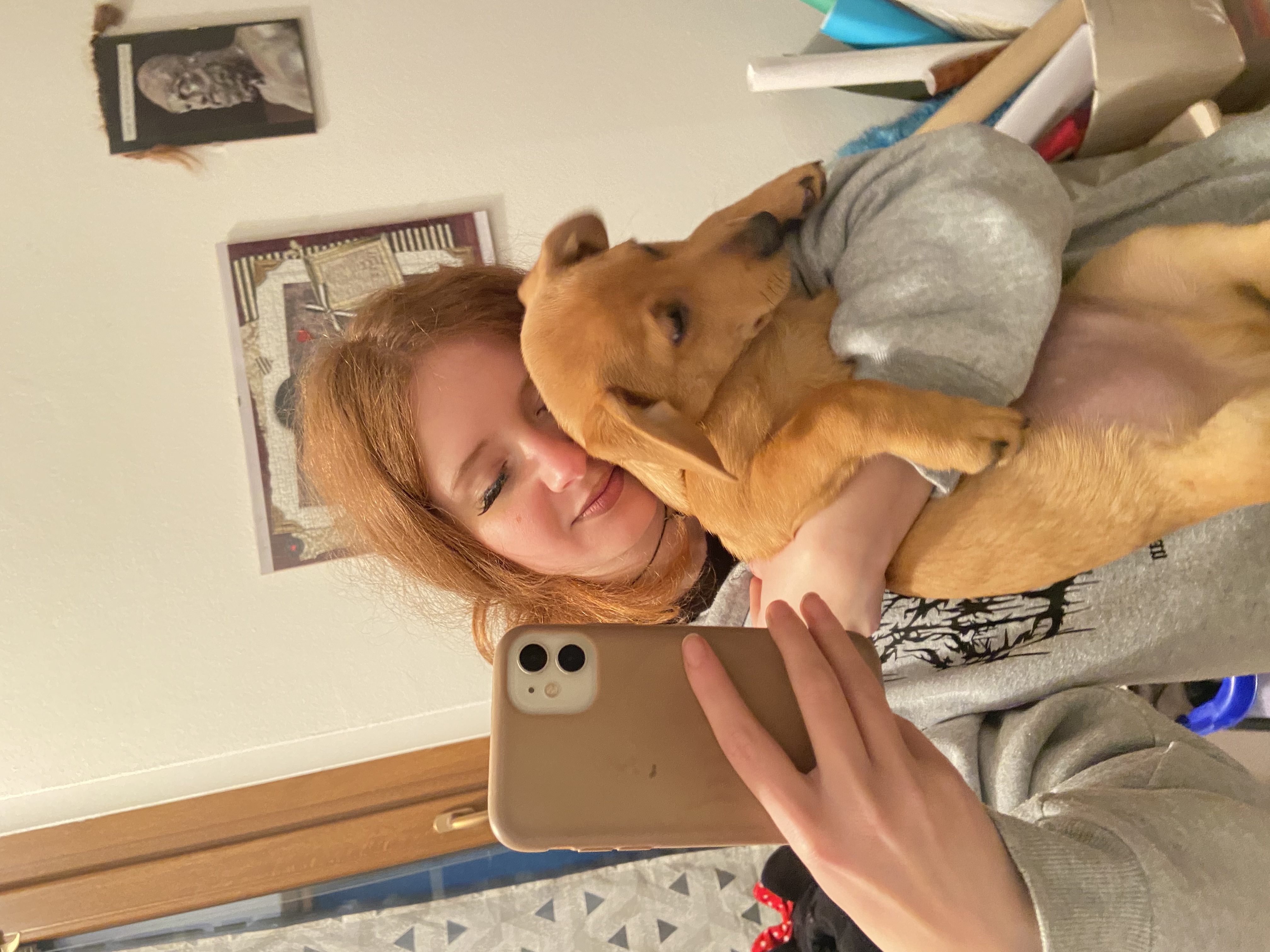image-9