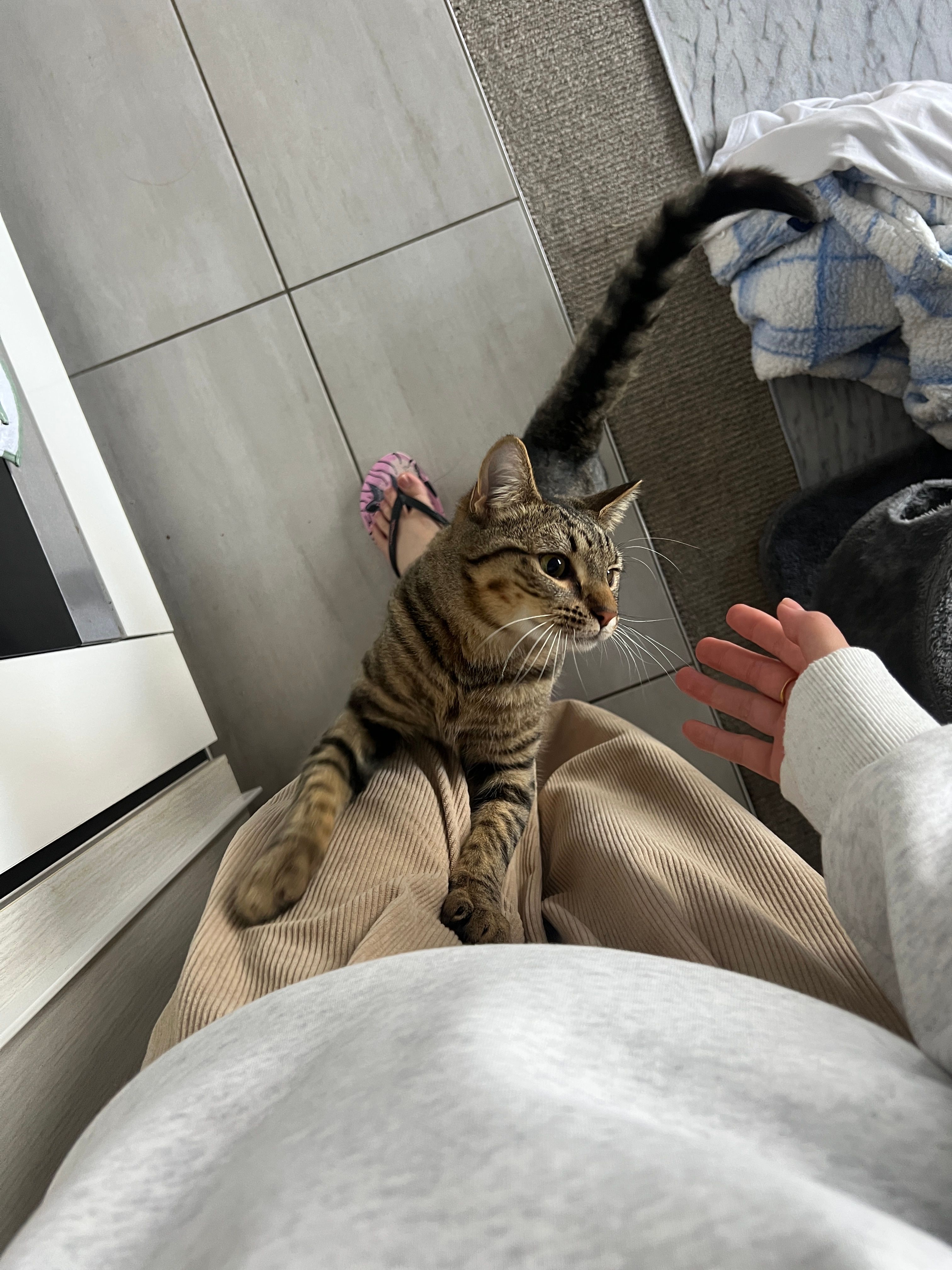 image-5