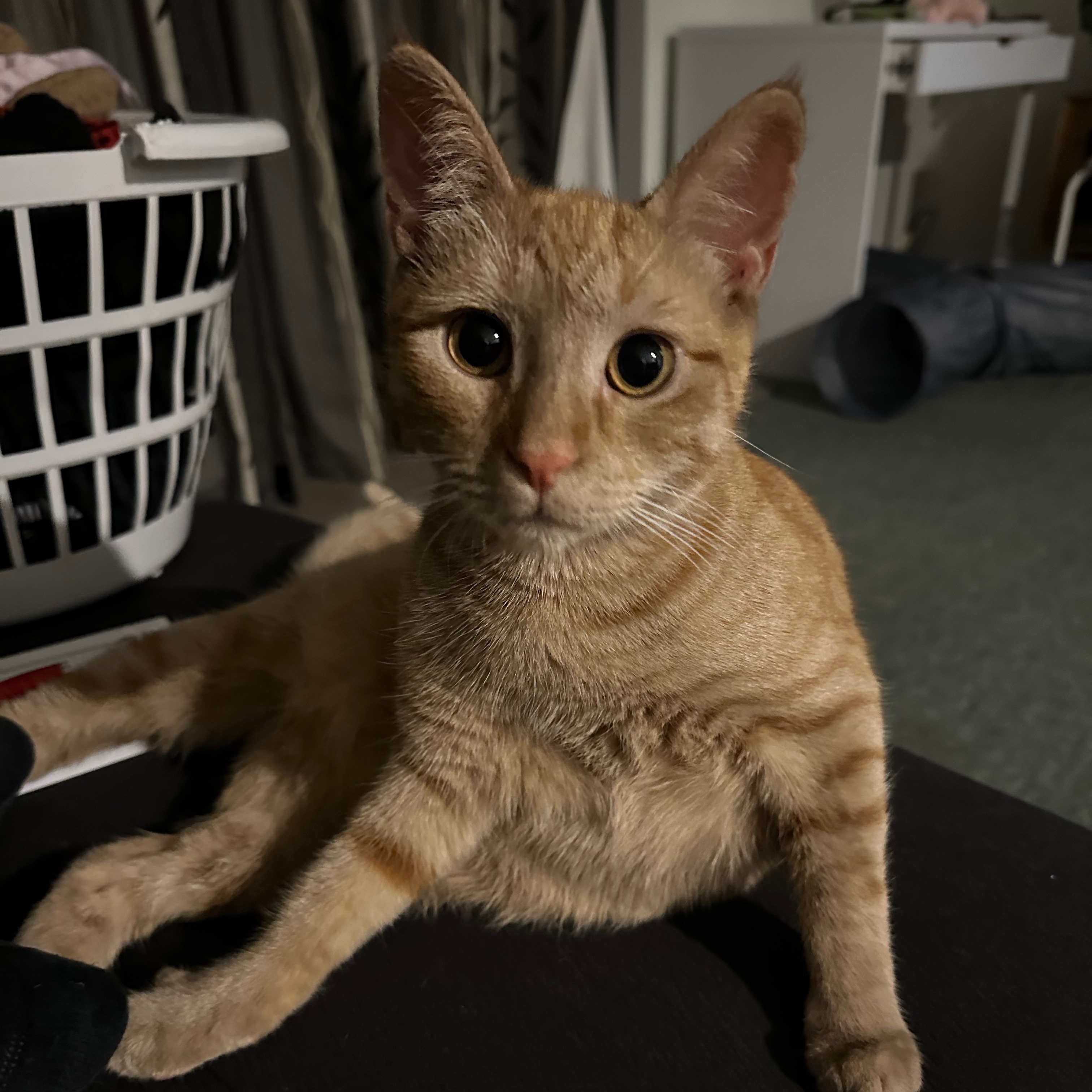 Gary 