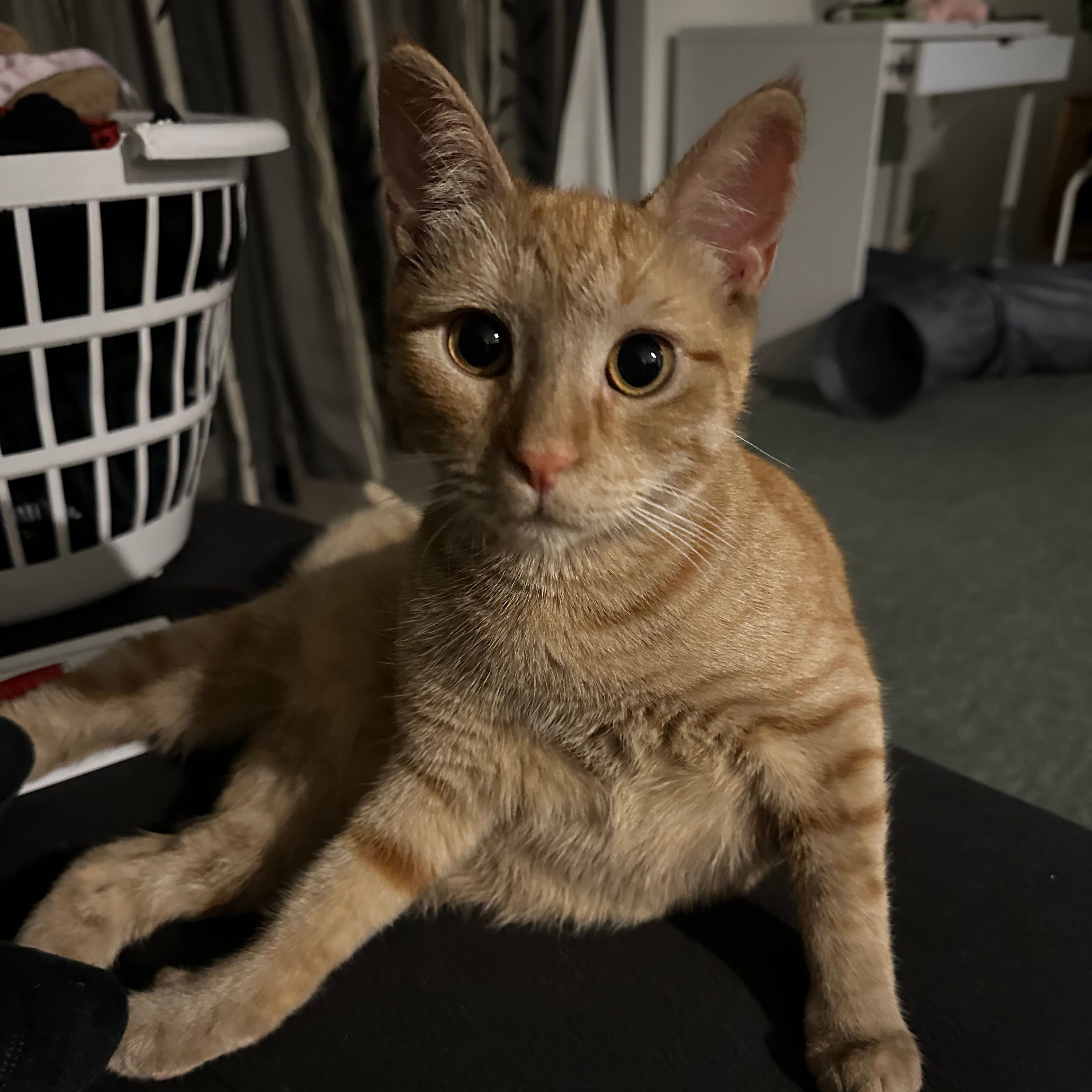 Gary